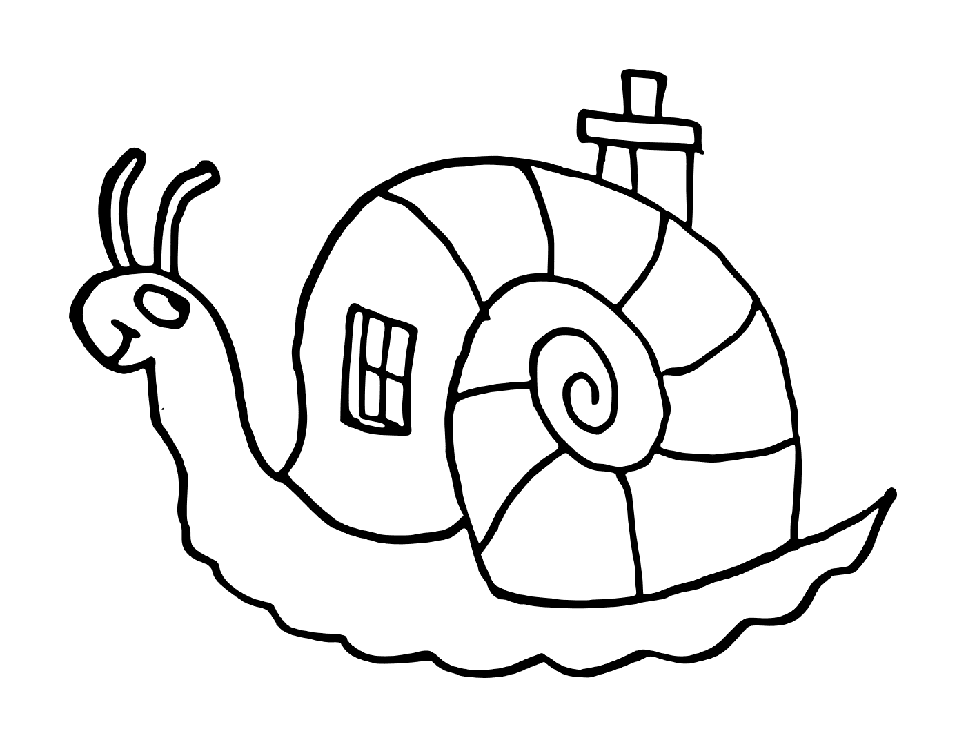  snail house 