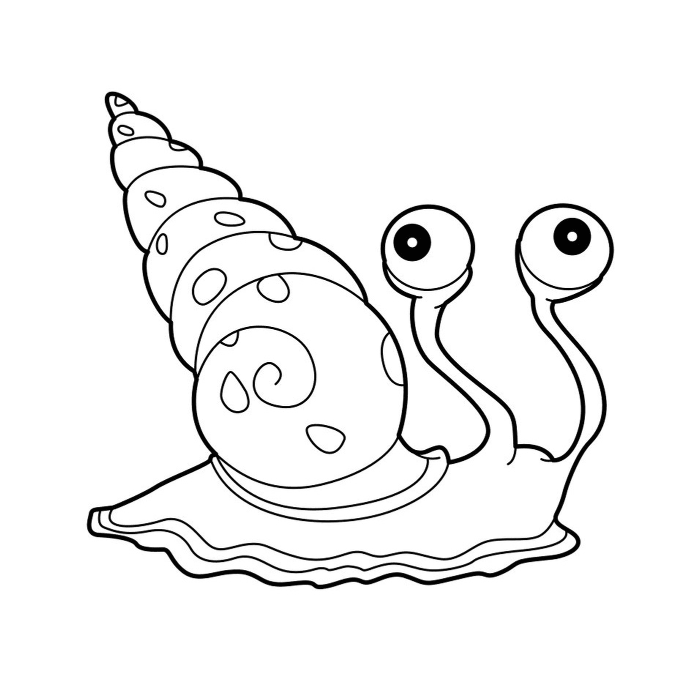  Um caracol de mar agradável com uma concha 