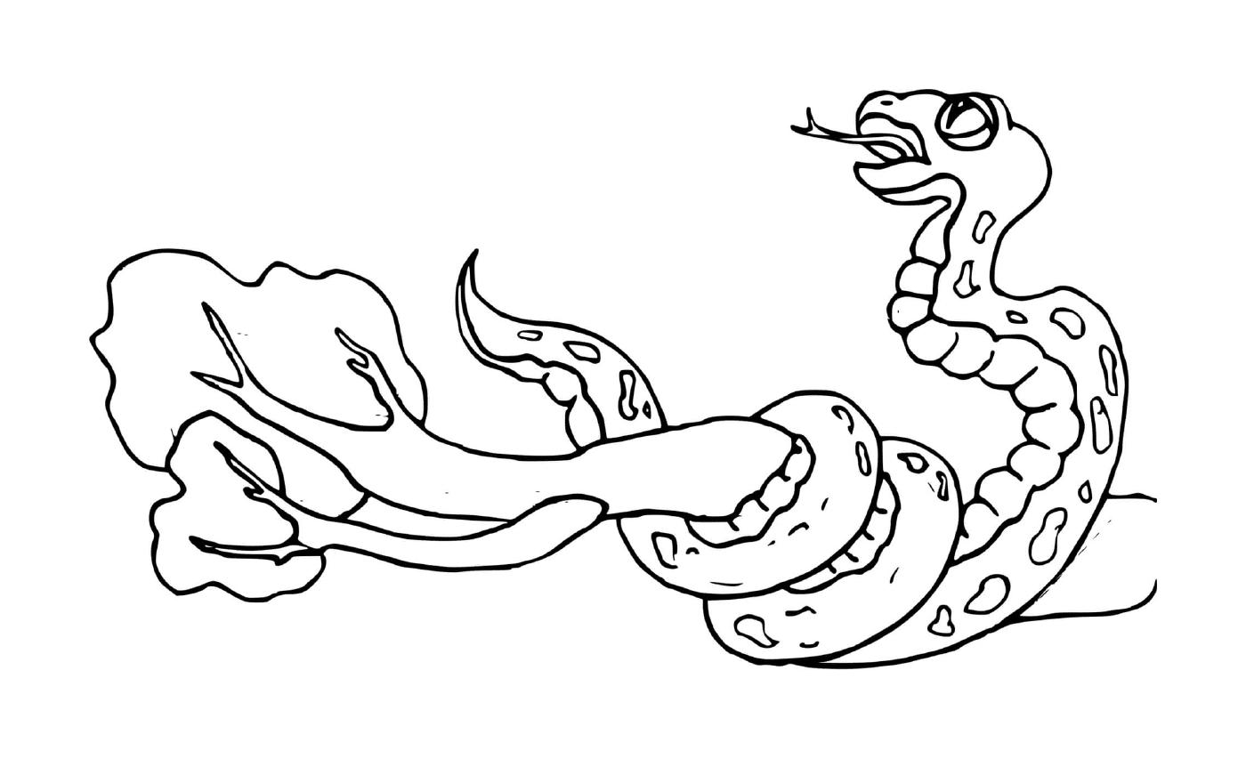  Snake envolvendo um ramo 