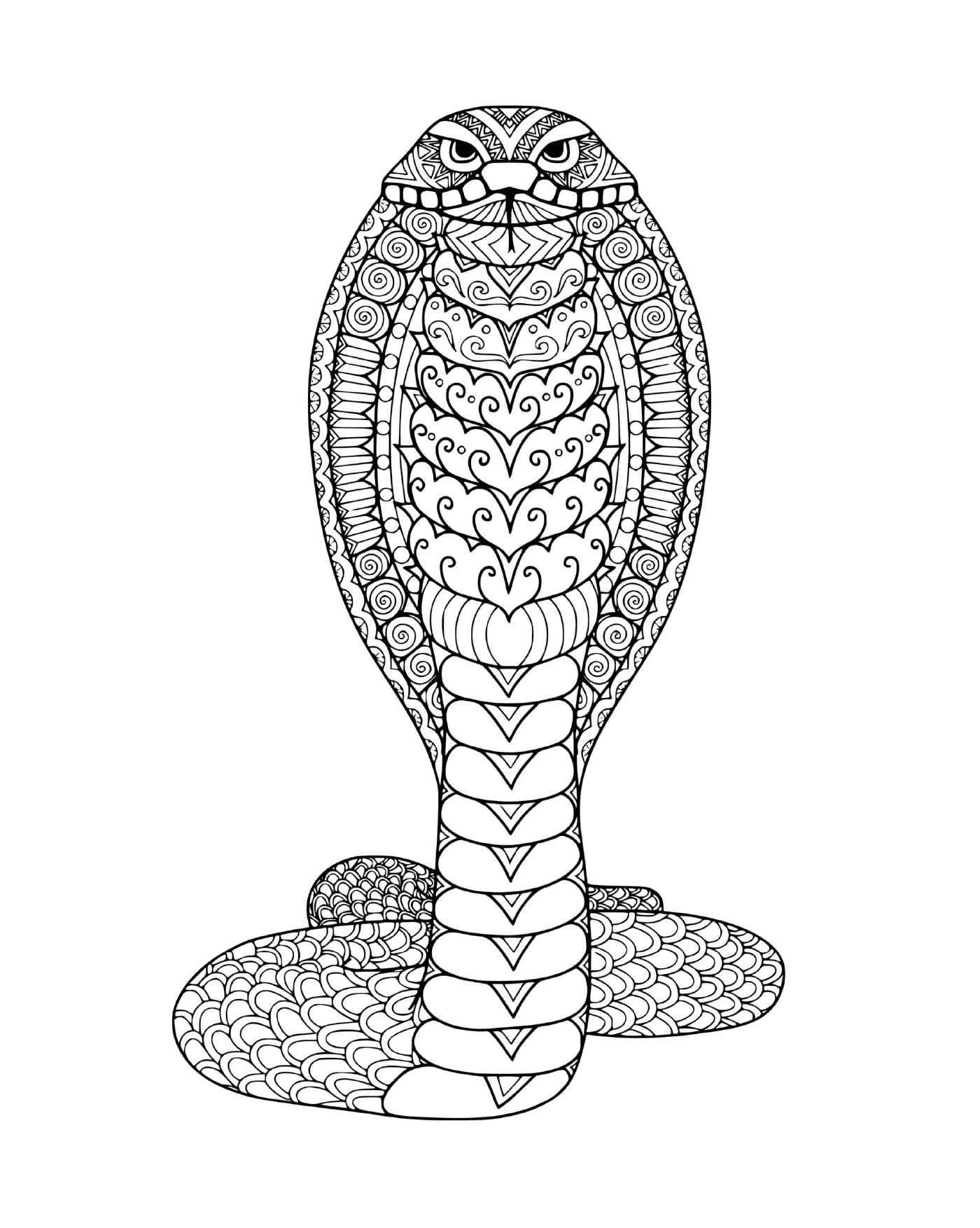  adulto mandala cobra 
