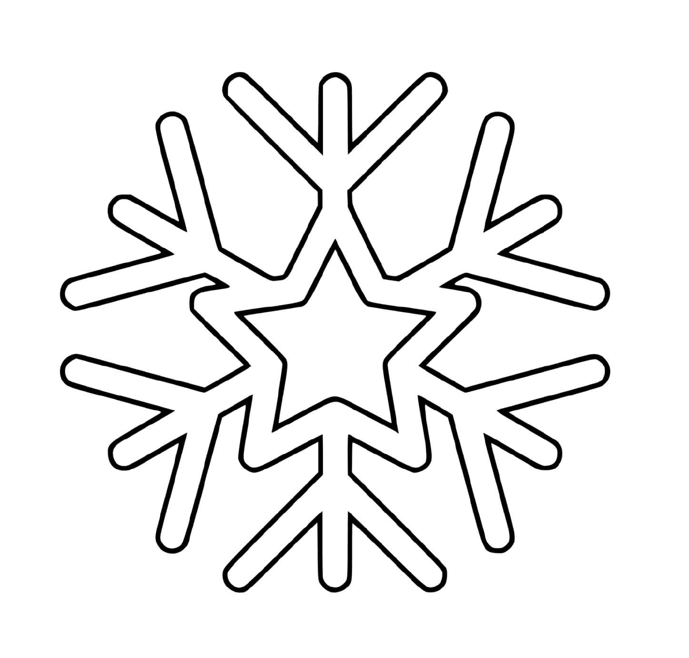  Um floco de neve com uma estrela 