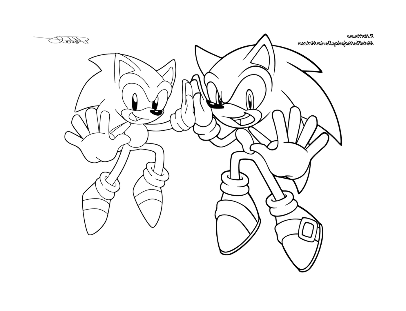  Um par de Sonics 