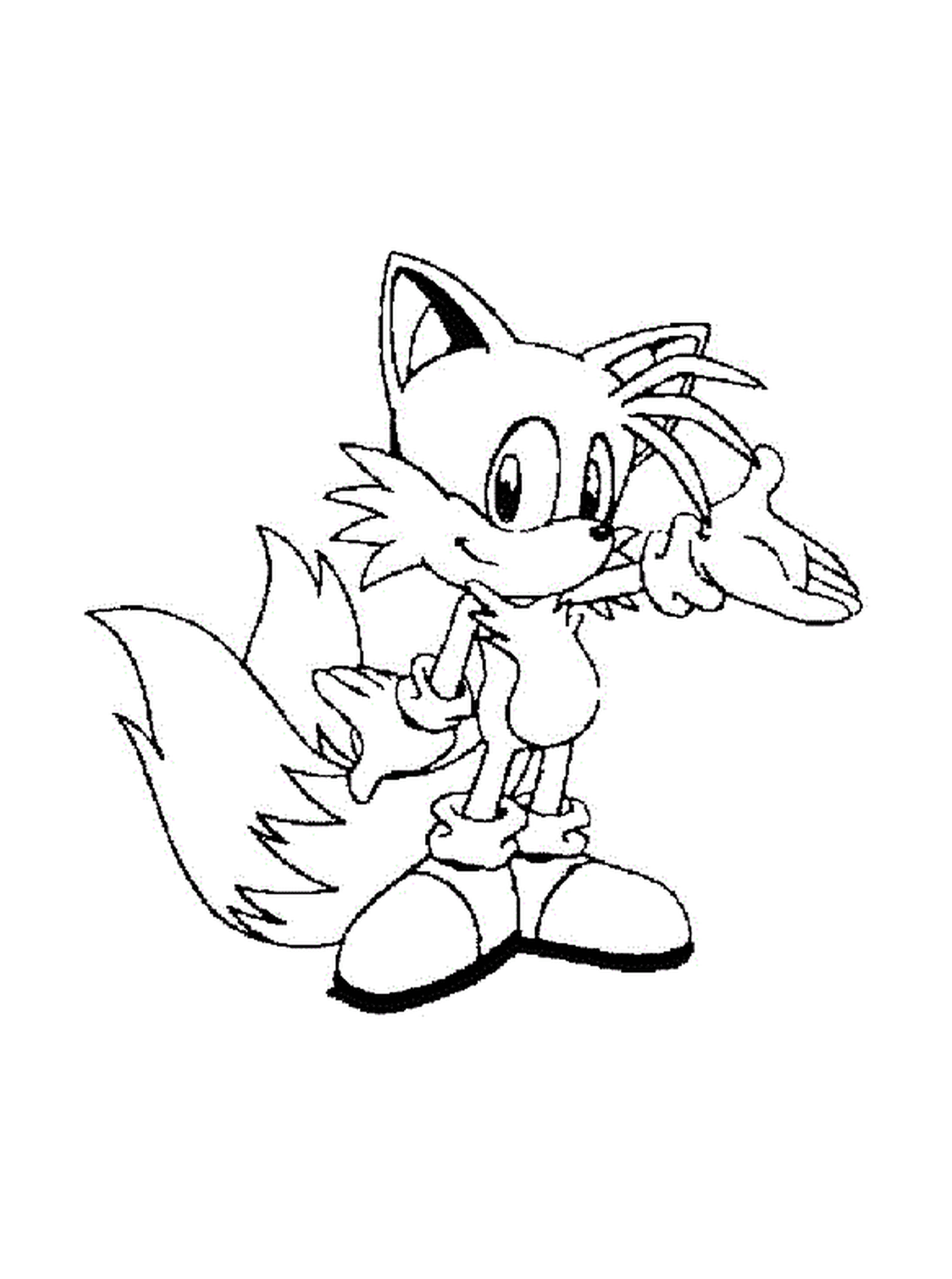  Uma raposa com Sonic 