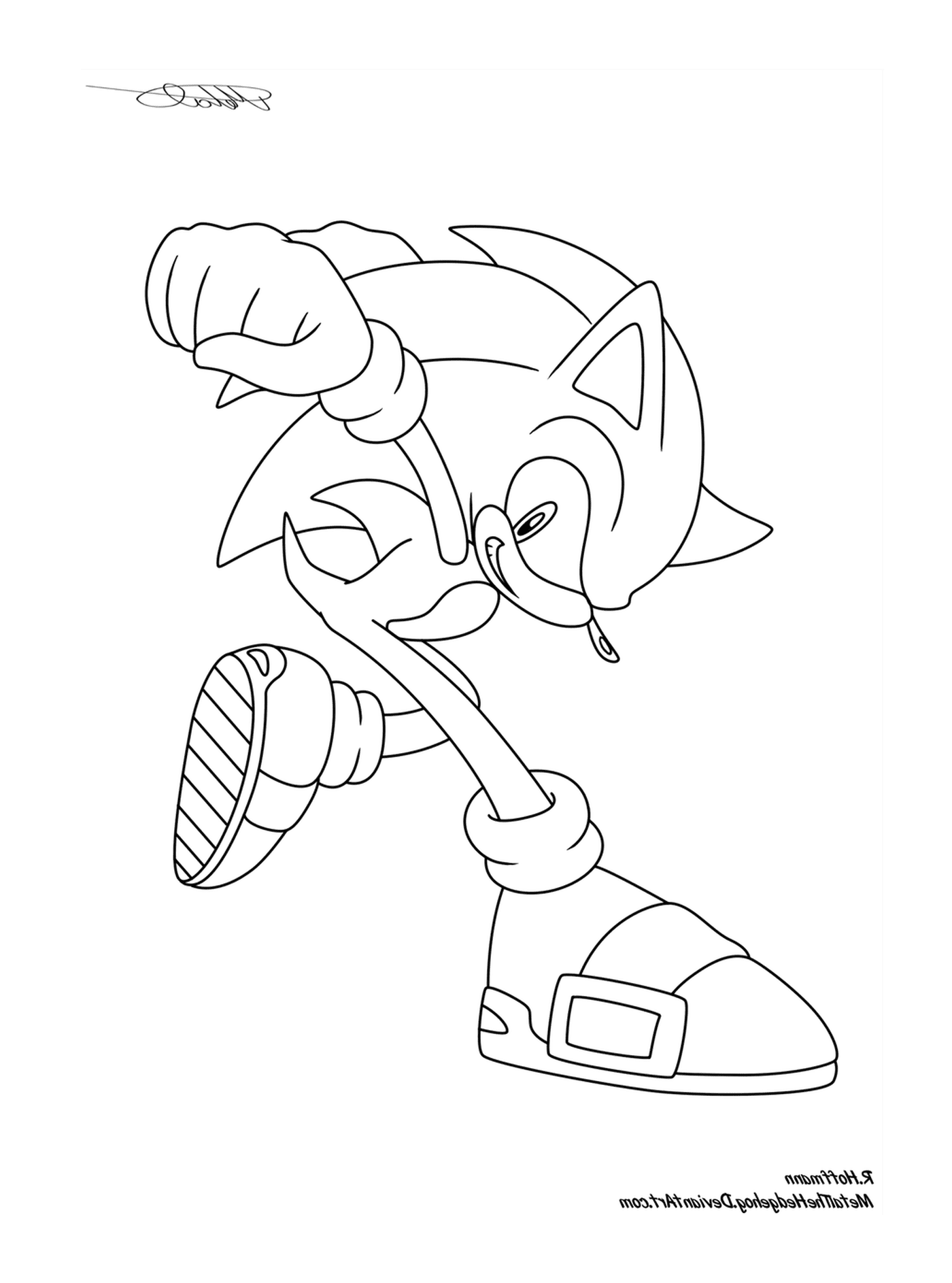  Sonic em movimento 