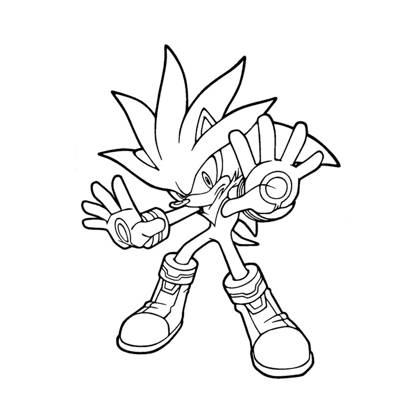  Sonic Sonic na série de animação Sonic X 