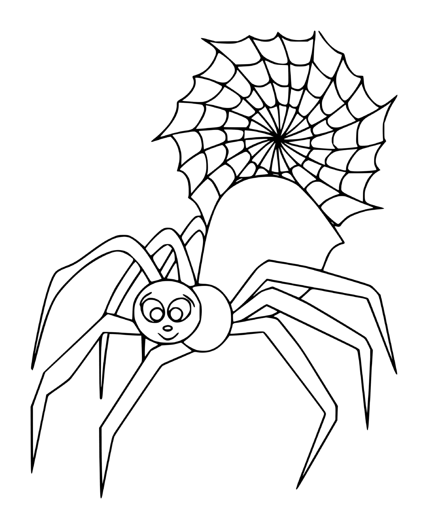  一个巨大的可爱蜘蛛 