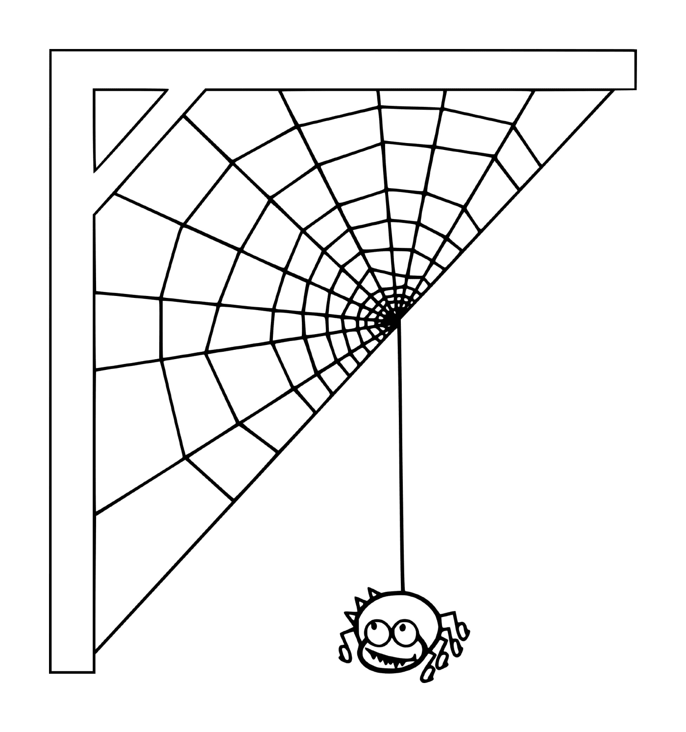 蜘蛛编织的蜘蛛网 