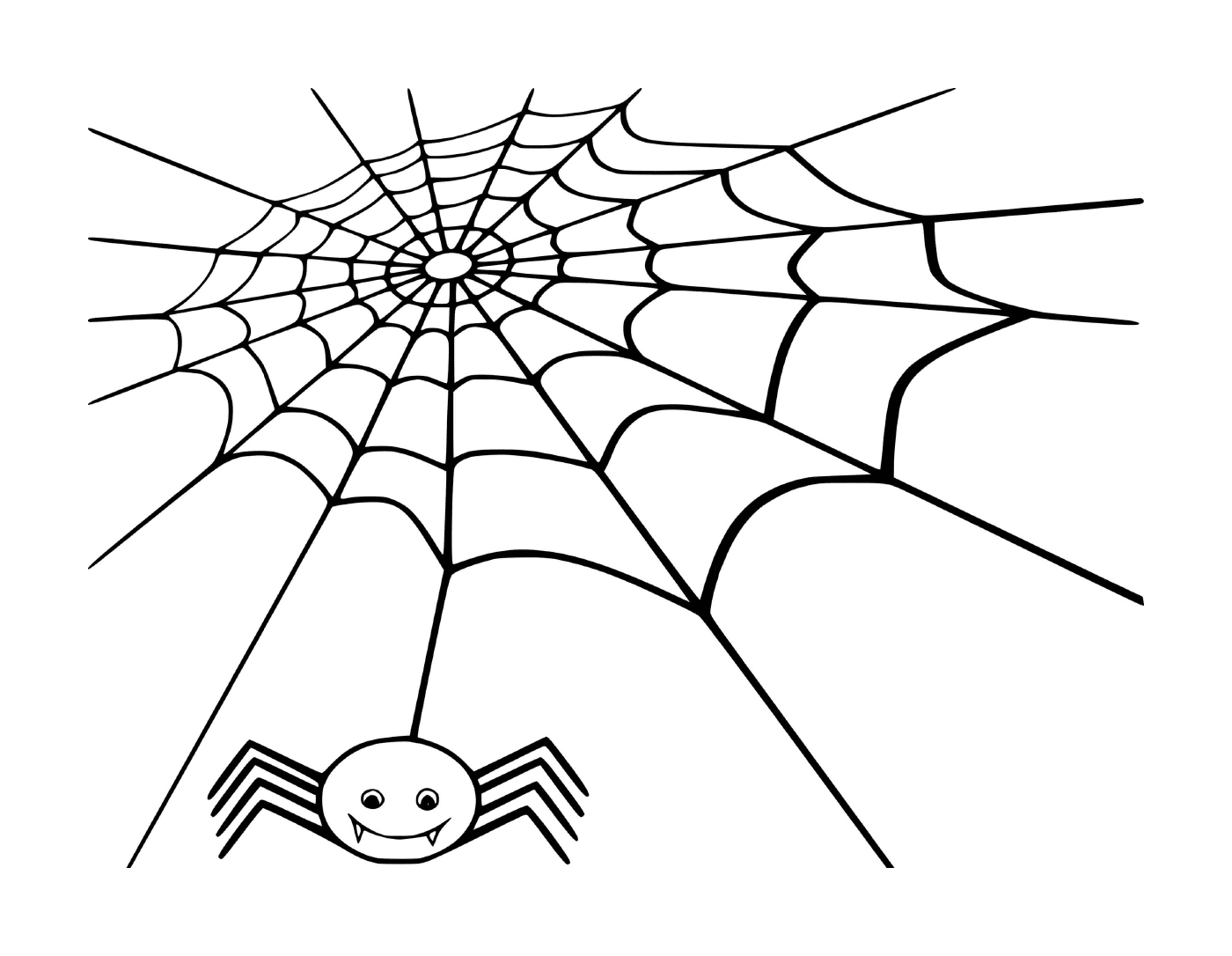  蜘蛛的蜘蛛网 蜘蛛等待猎物的蜘蛛网 