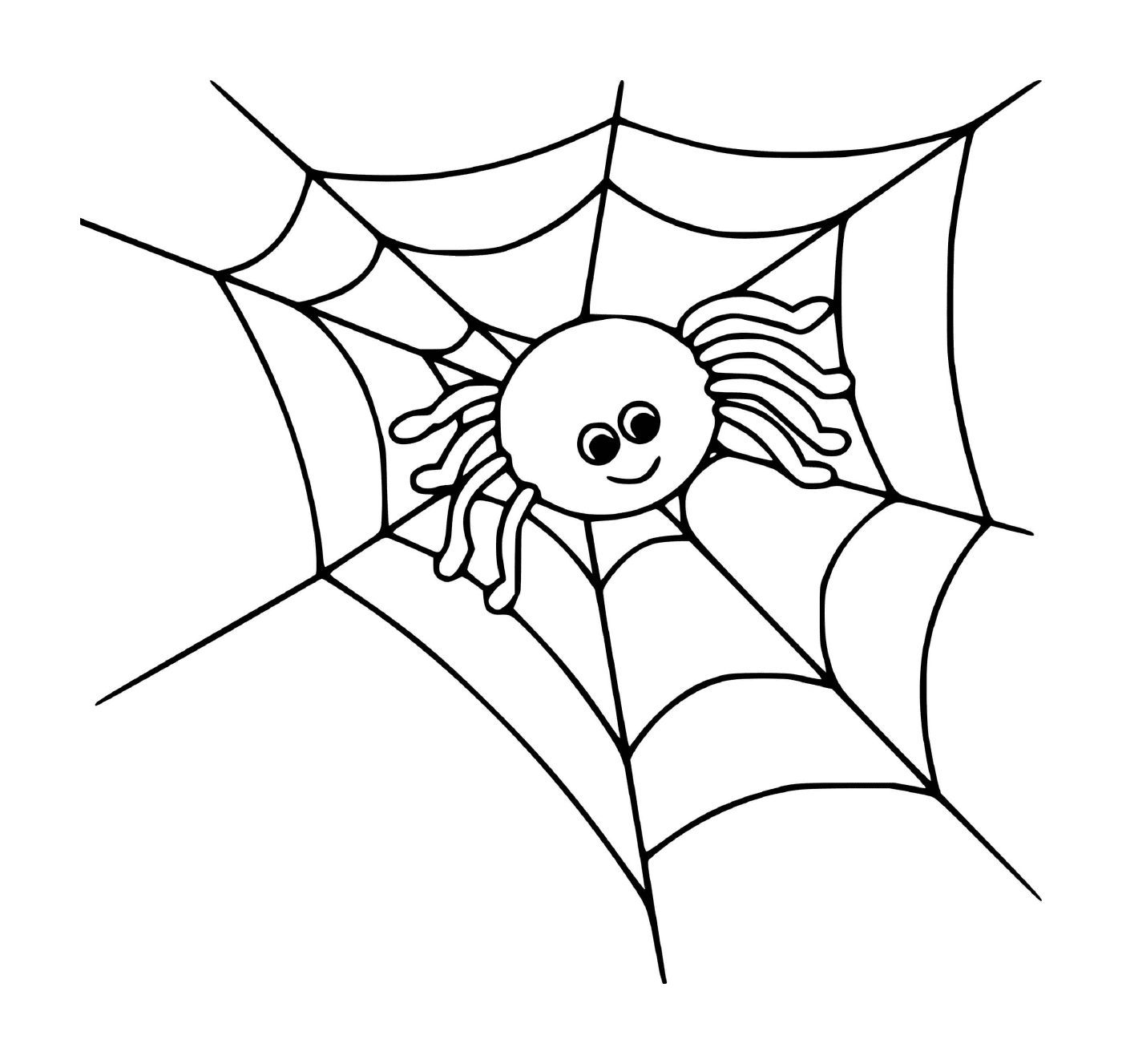  网上的可爱蜘蛛 