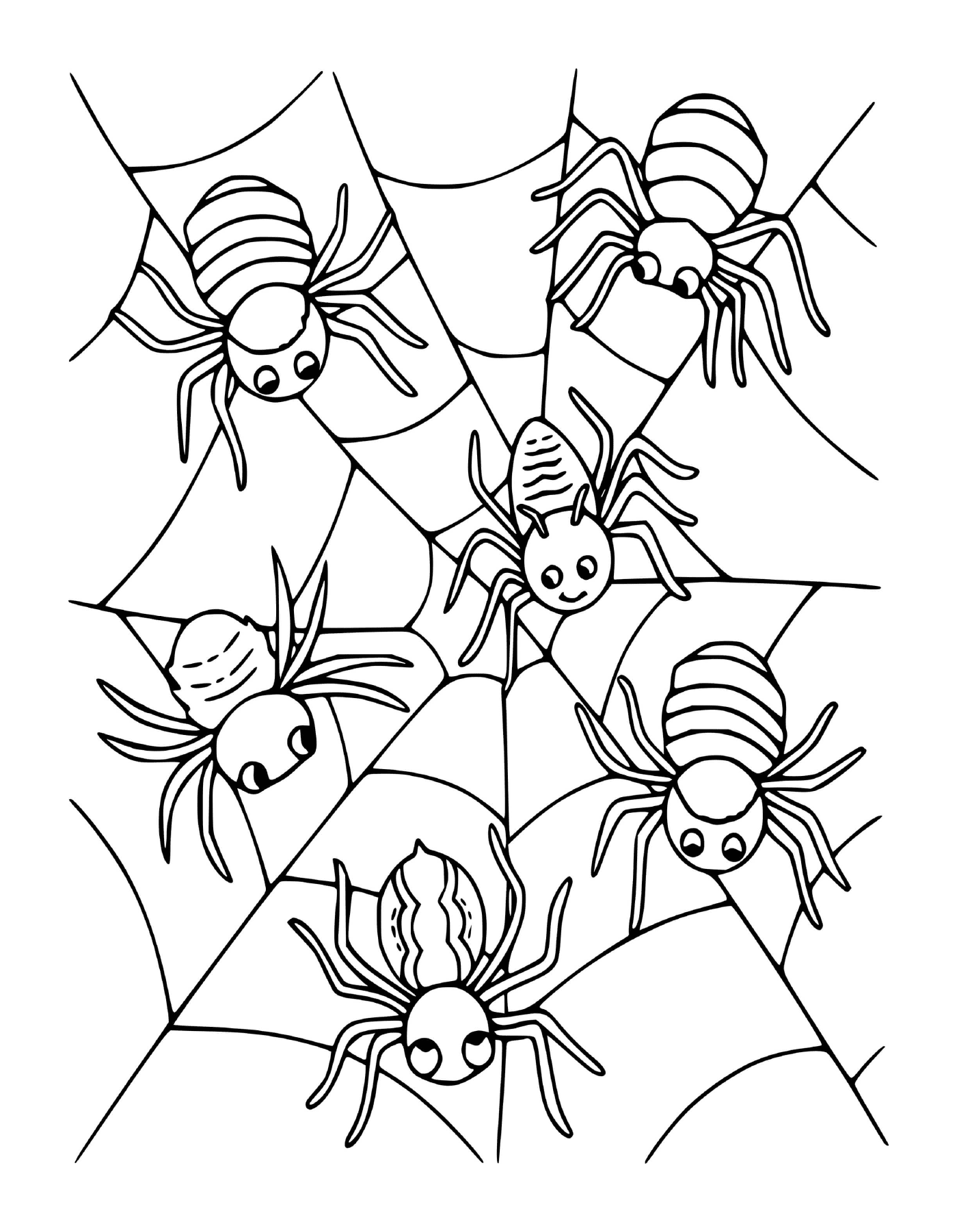  一群四只蜘蛛 坐在网络上 