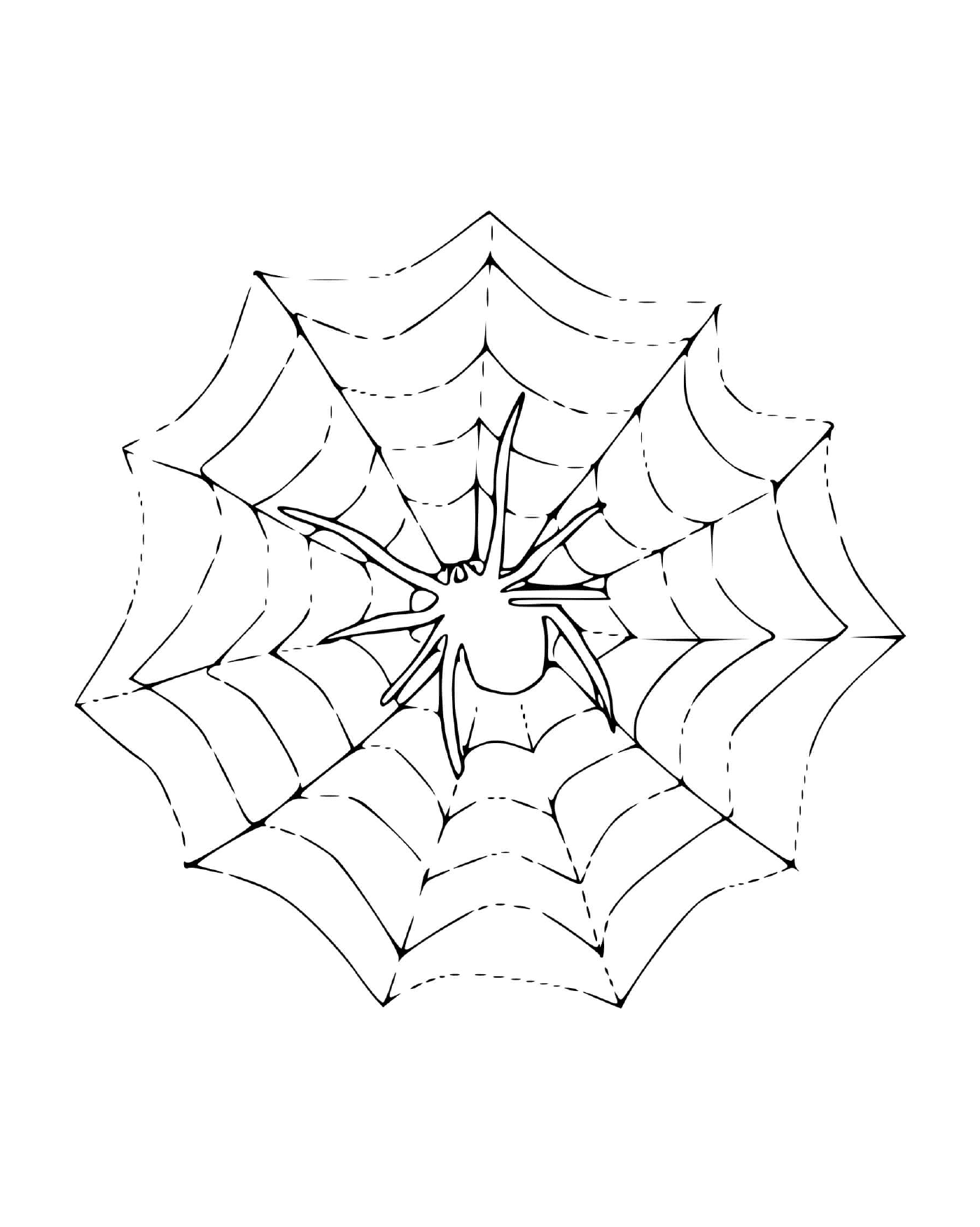  一只蜘蛛坐在网上 