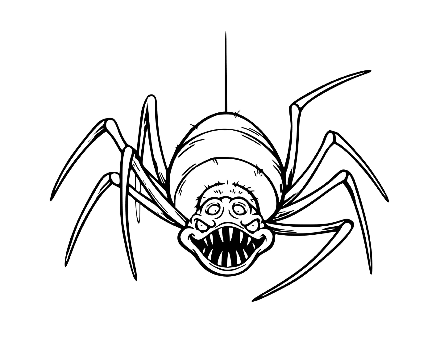 一只可怕的蜘蛛,非常吓人 