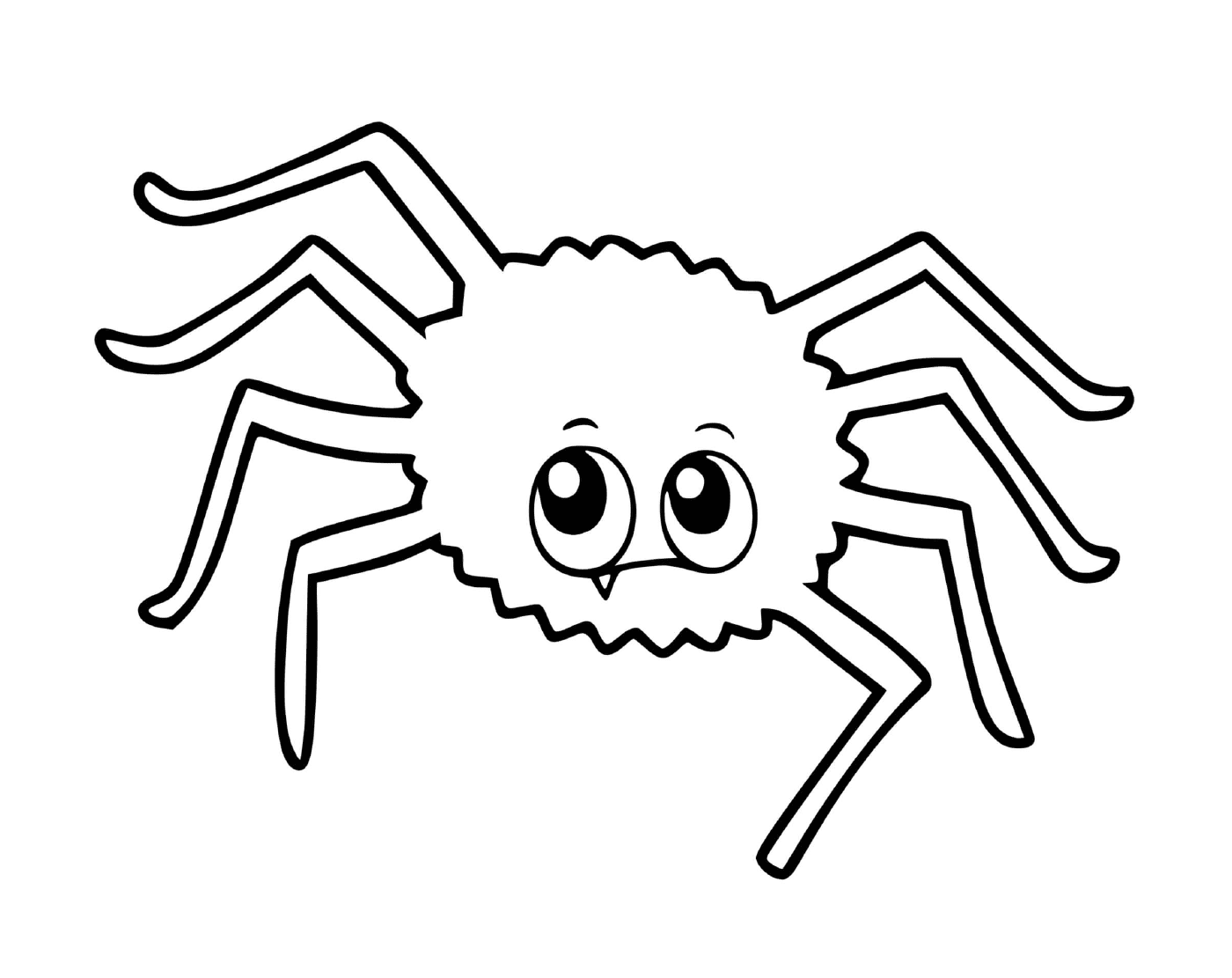 一个蜘蛛 