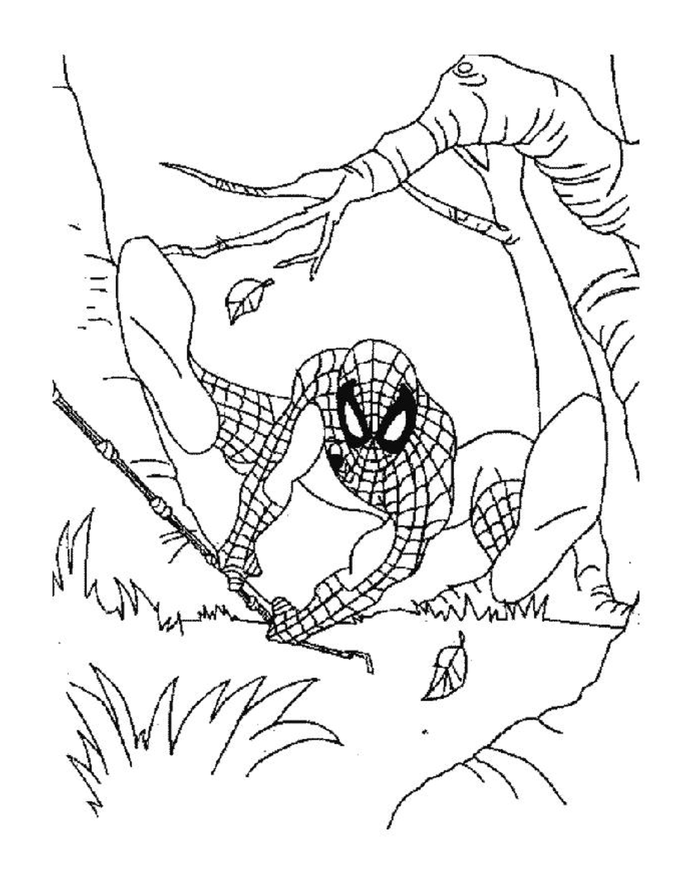  Homem-Aranha 