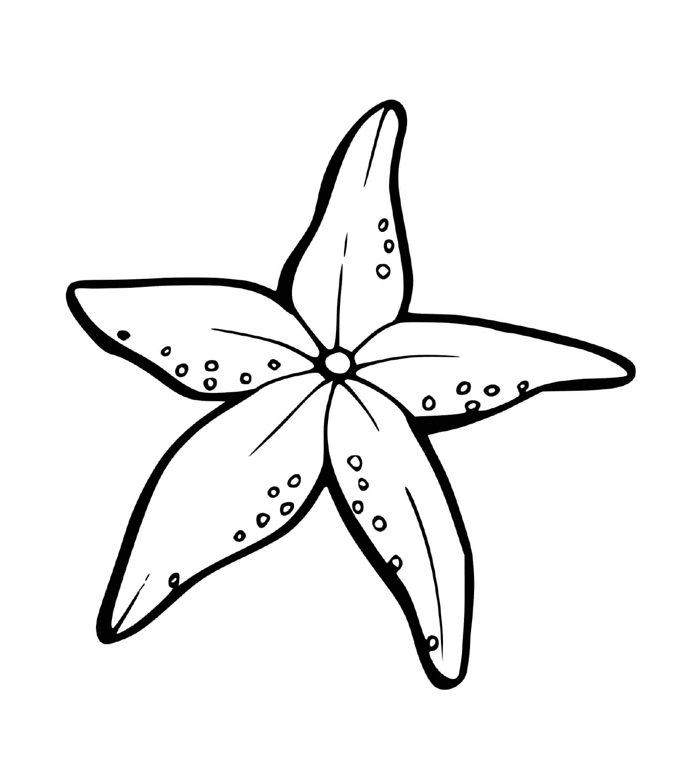  Uma estrela do mar em forma de flores 