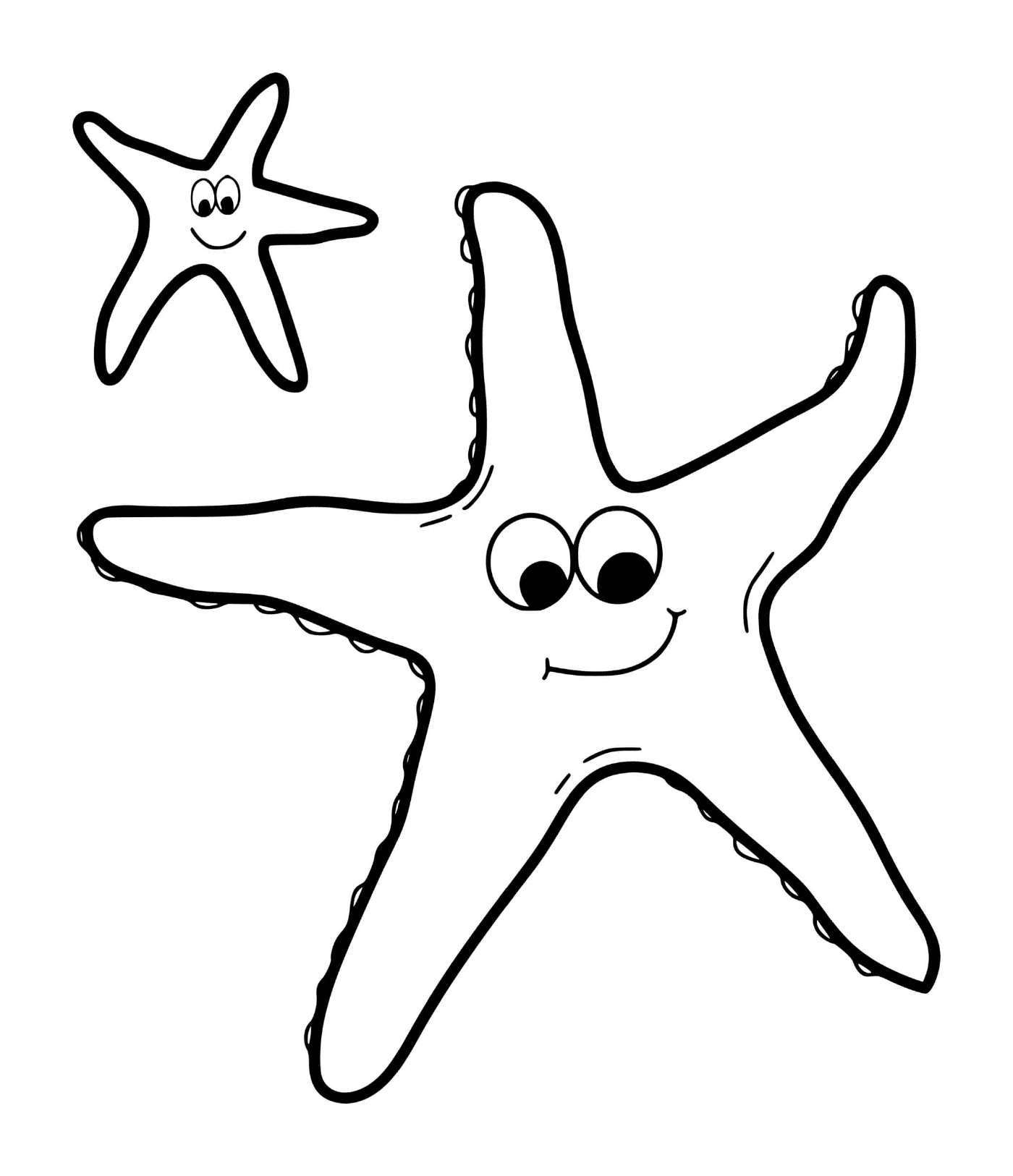 Duas estrelas-do-mar sorridentes 