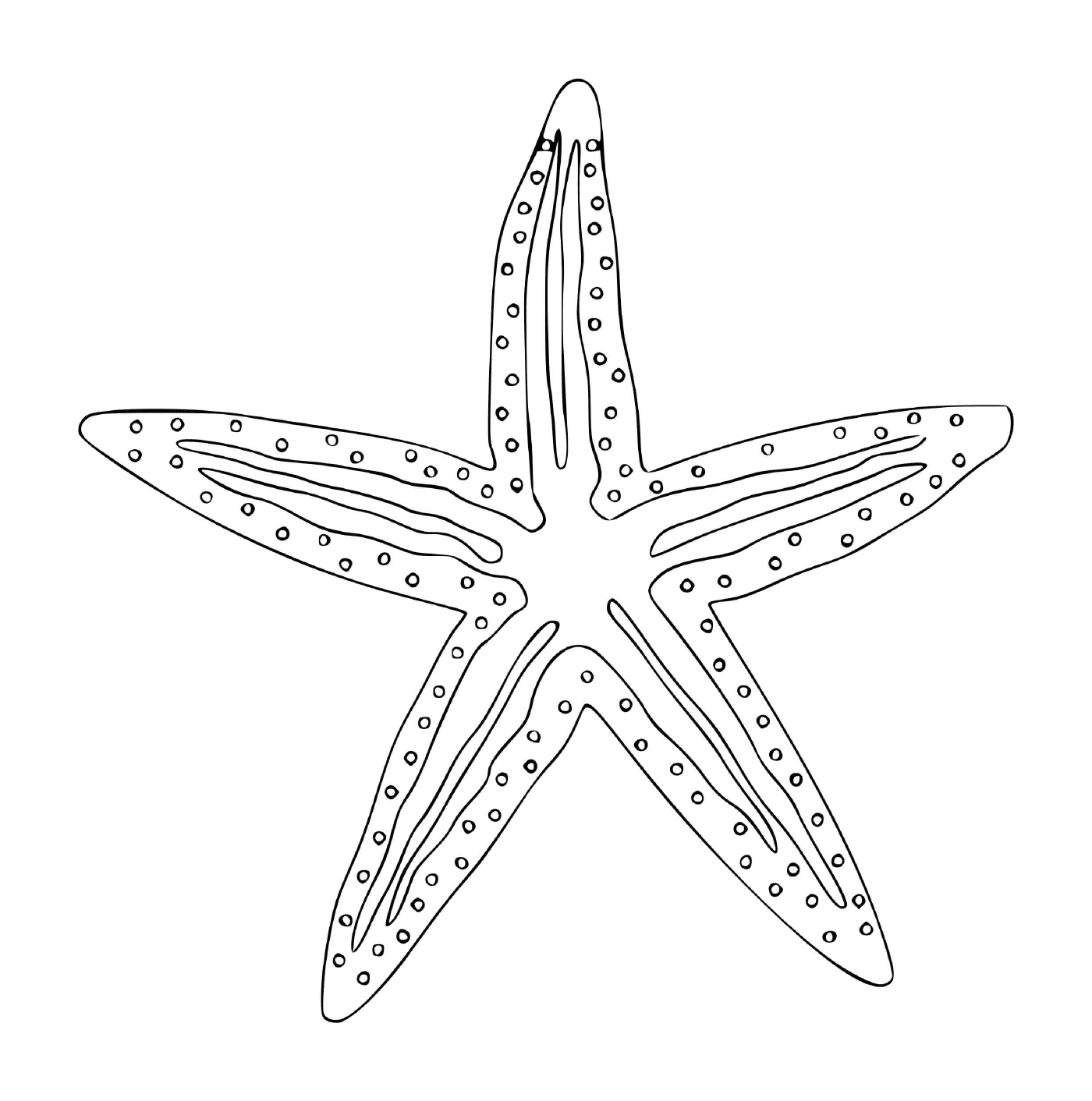  Uma estrela-do-mar na forma de um animal marinho 