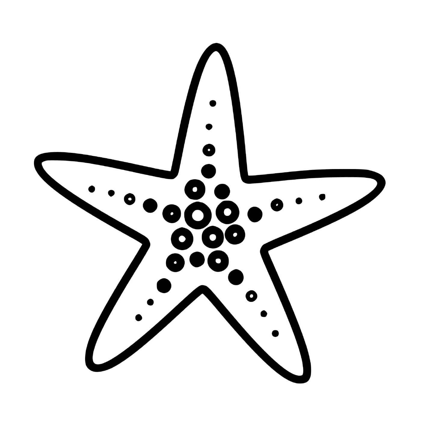  Uma estrela do mar da família Forcipulatida 
