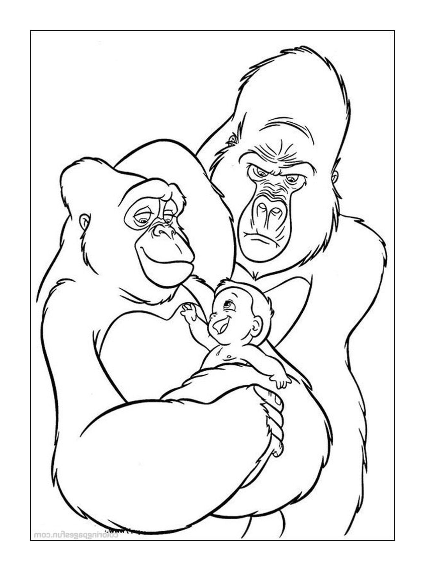  Gorila e gorila bebê 