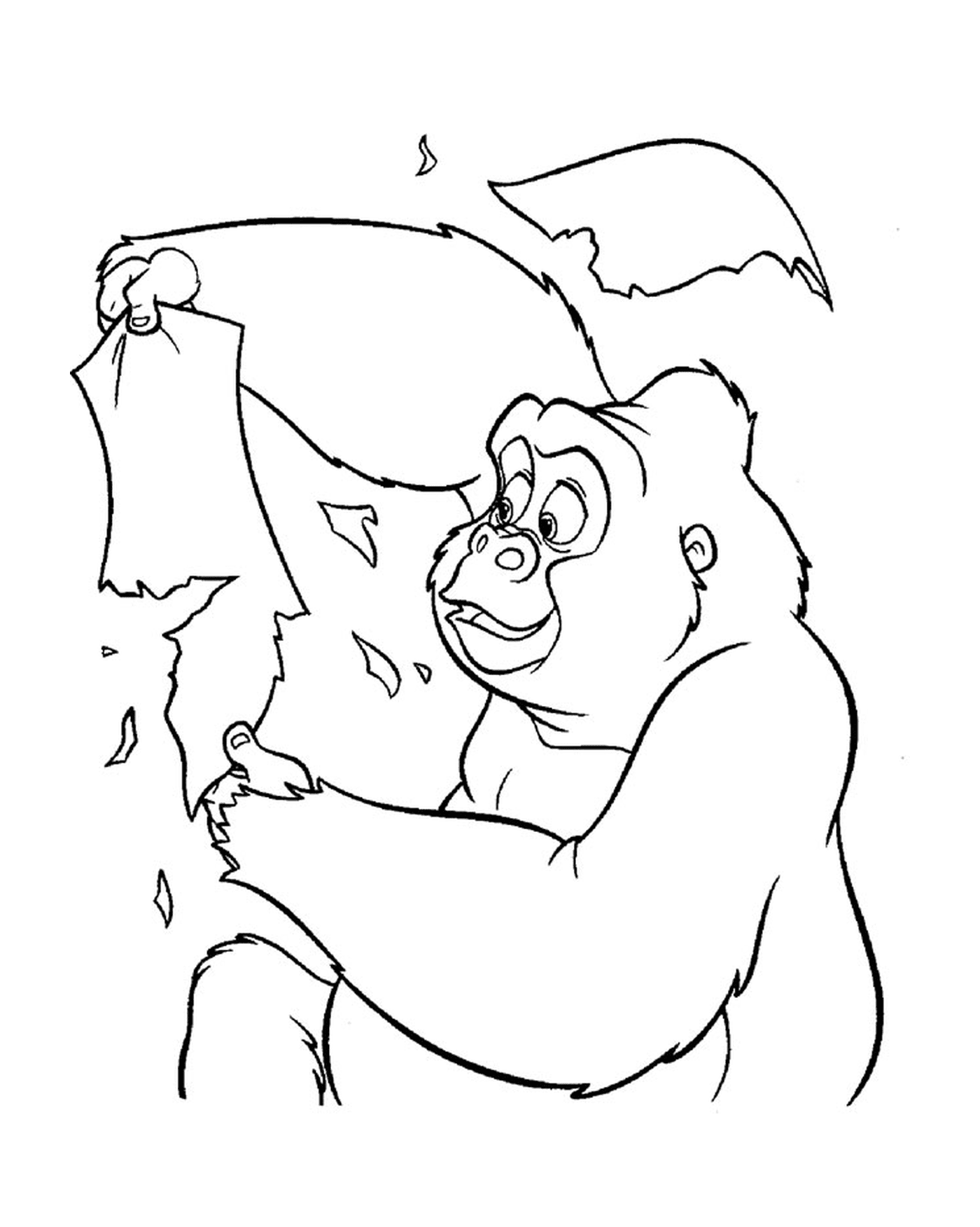  Gorila segurando uma folha de papel 