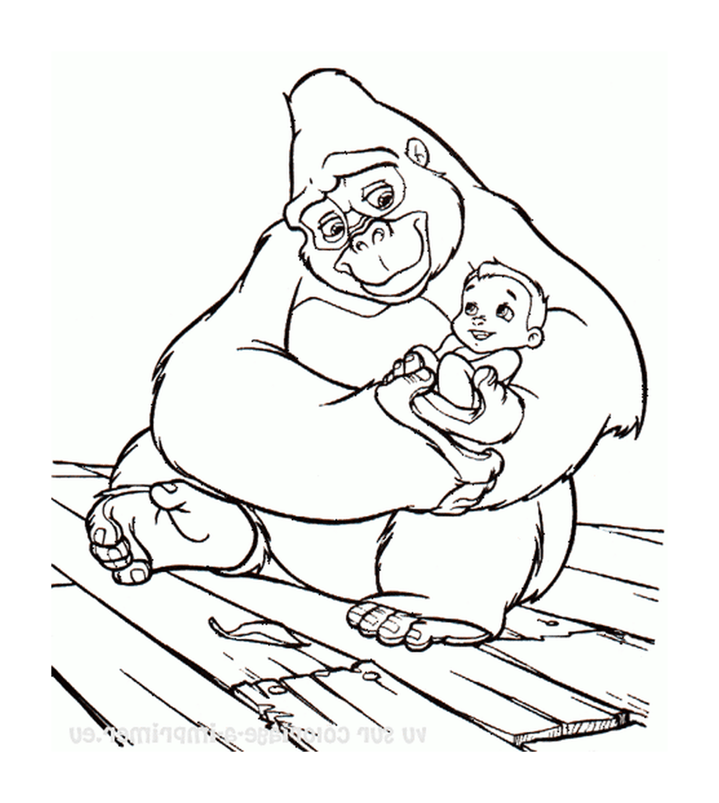  成年大猩猩怀着婴儿在她的怀里 