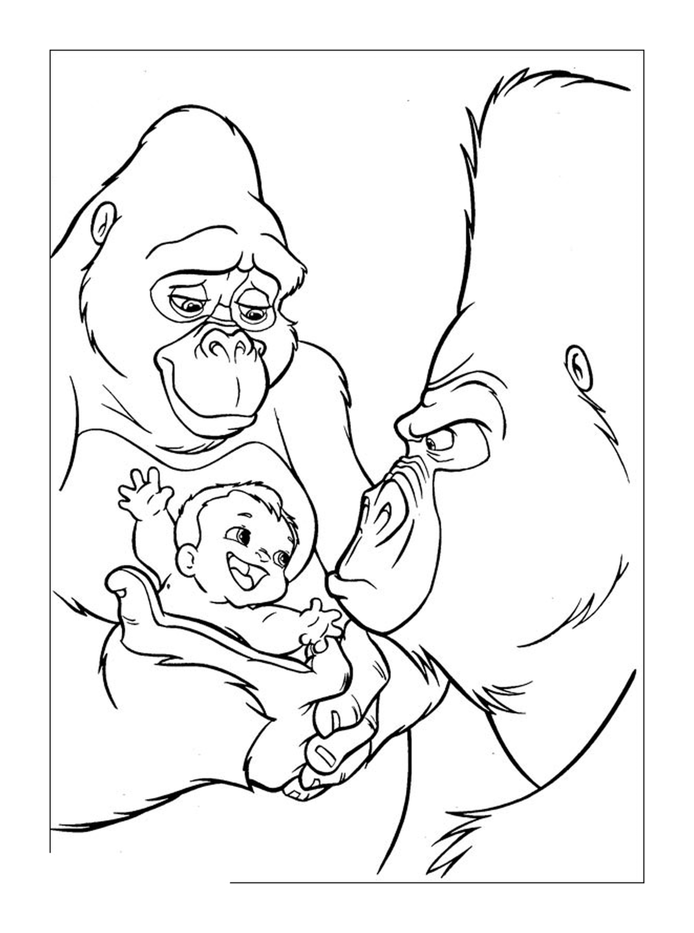  Gorila adulto e bebê gorila com um bebê 