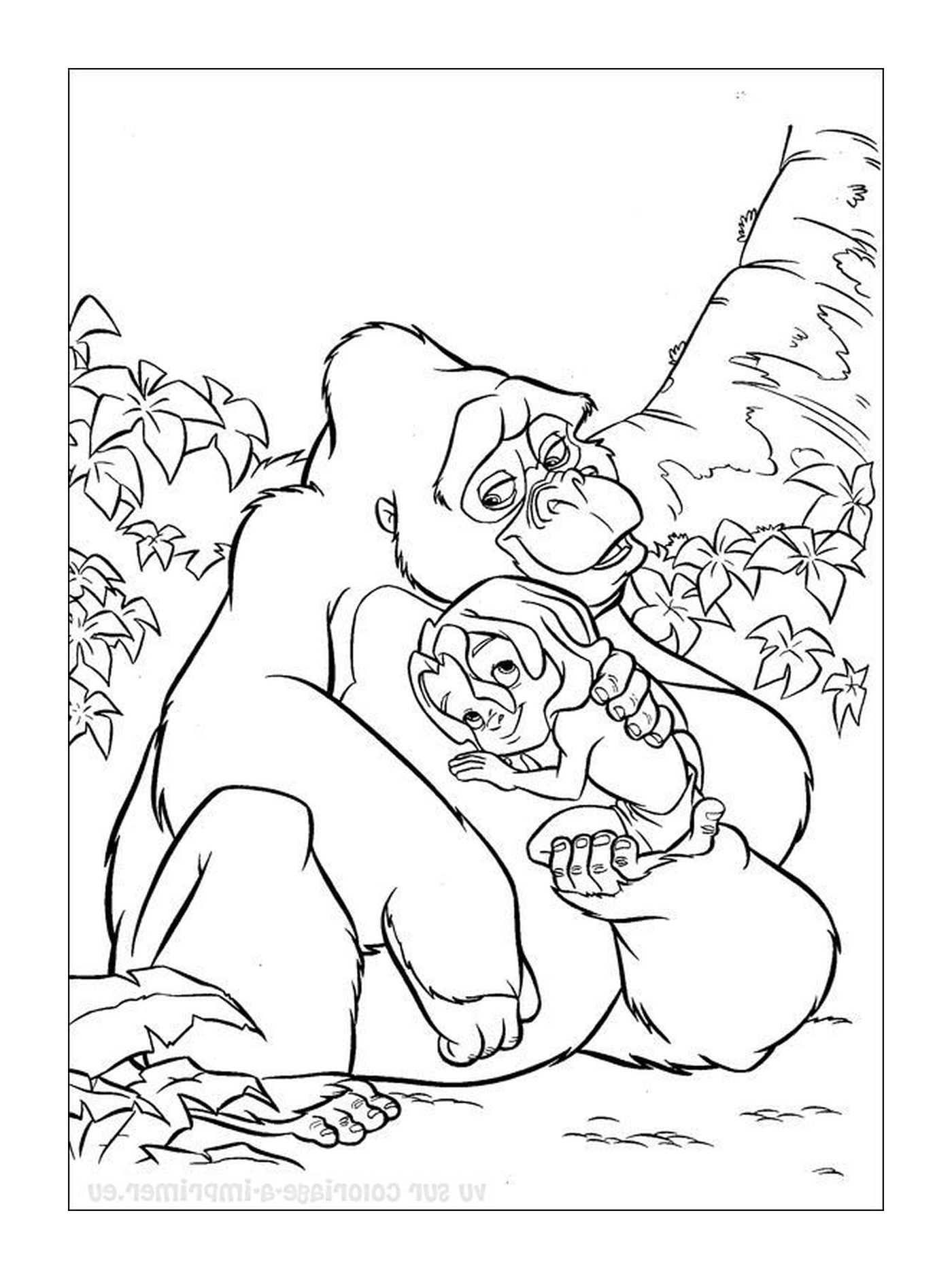  大猩猩怀着一只大猩猩宝宝的怀抱 