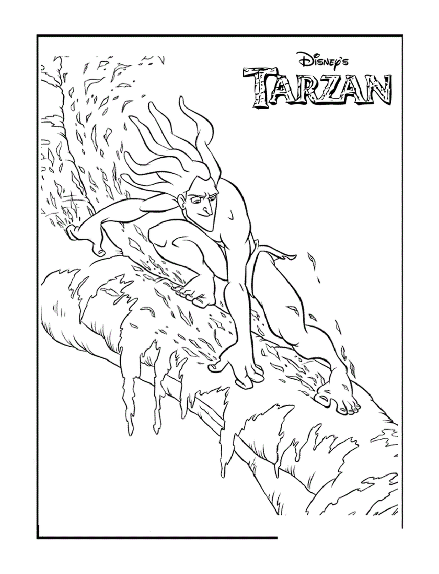  Tarzan escapa das lianas 