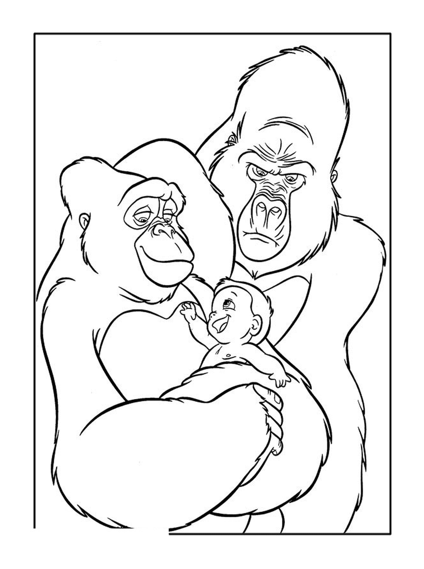  Gorila e seu bebê 