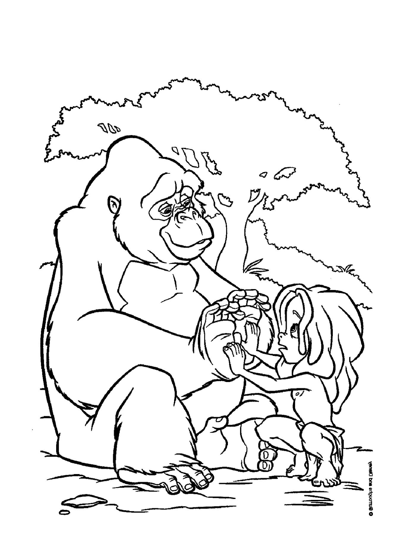  Adulto e criança brincando com um gorila 