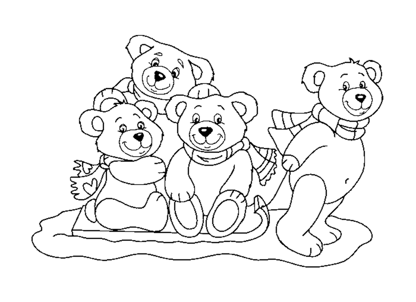  أسرة الدب المُددَرْم 
