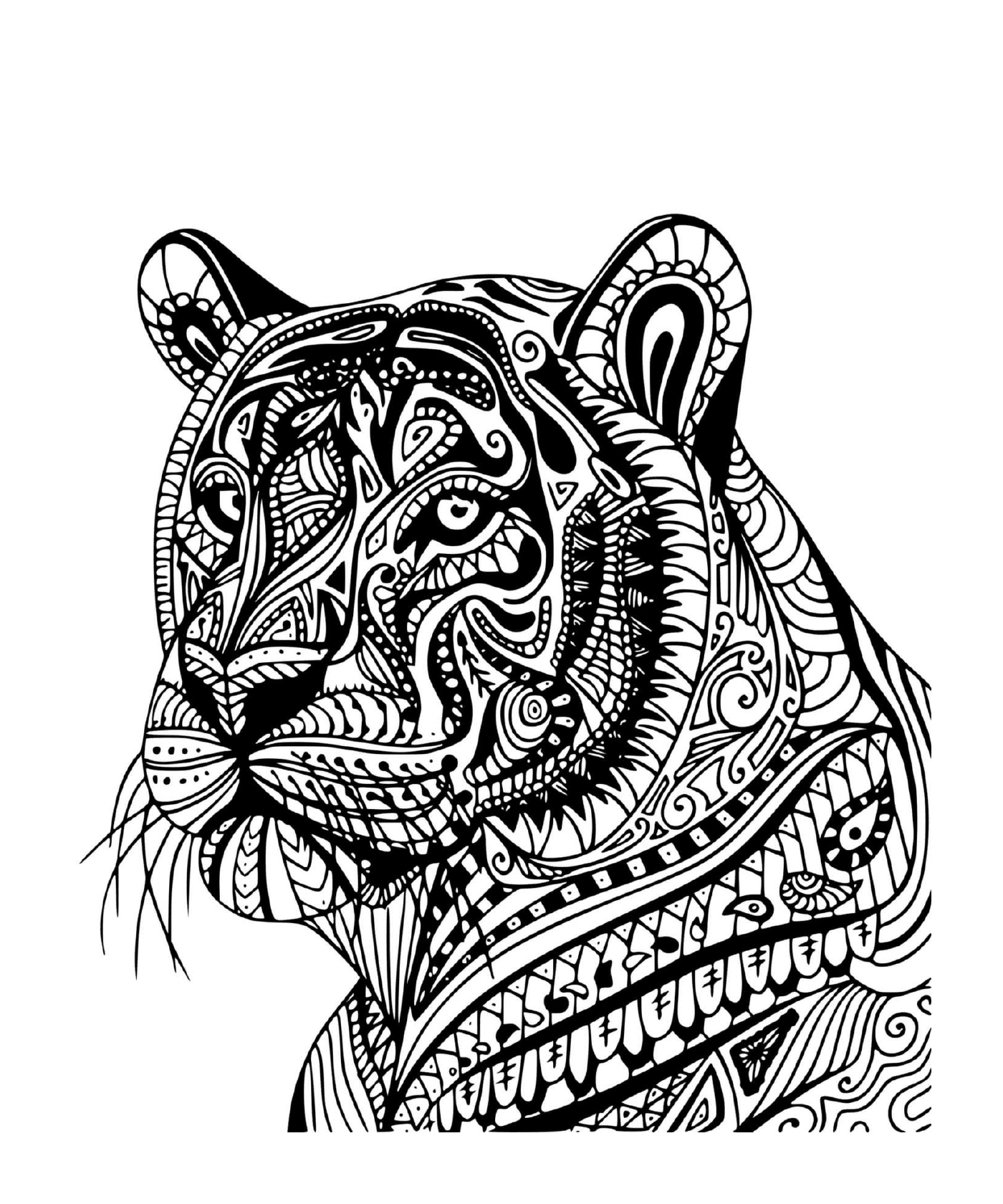  Um tigre adulto no perfil 