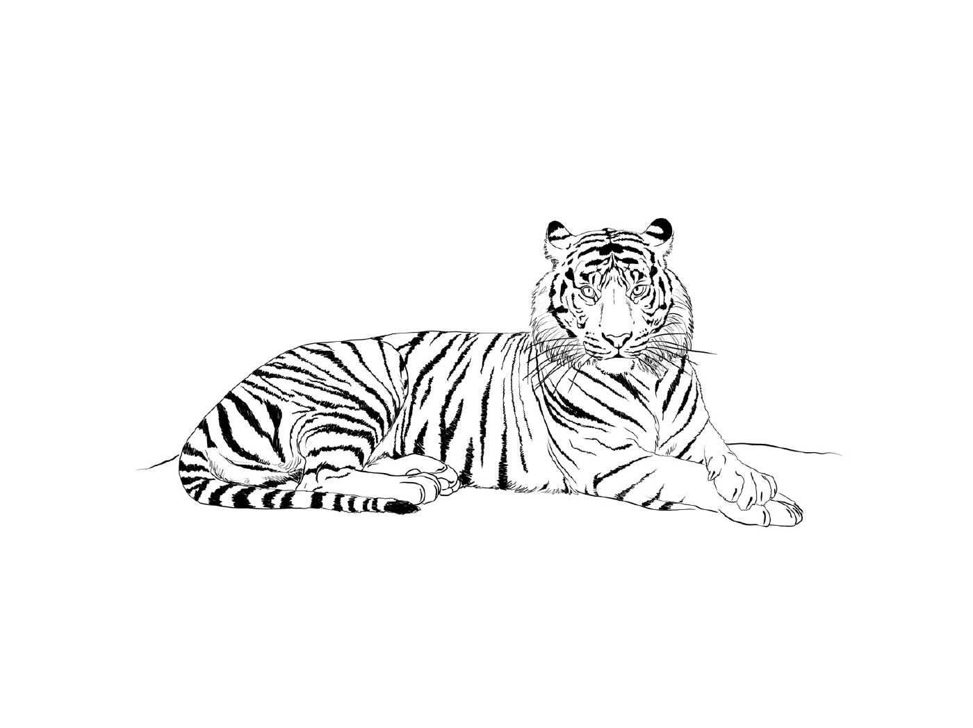  एक यथार्थवादी बाघ 