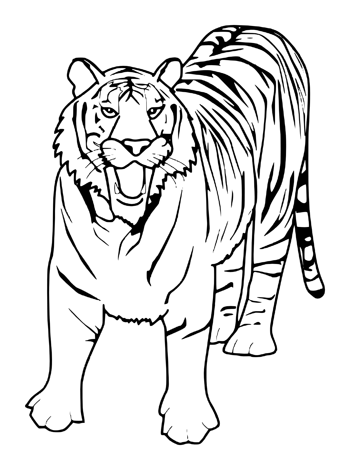  एक खूबसूरत सफेद बाघ 
