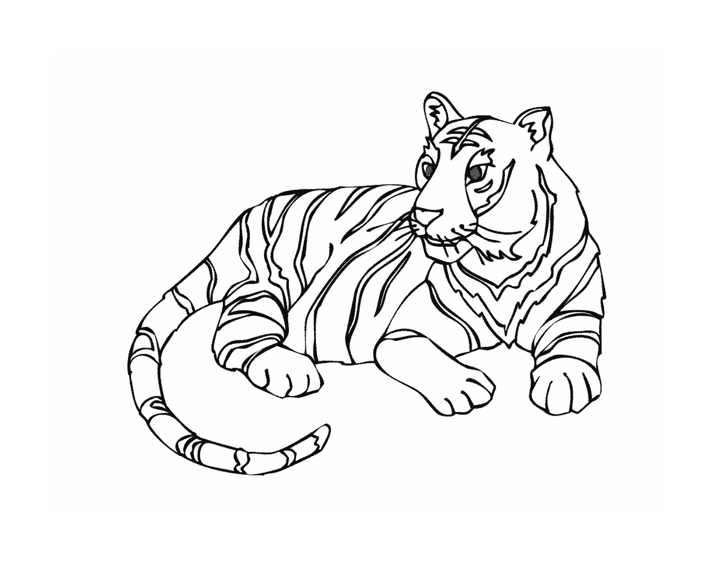  Um tigre na savana 