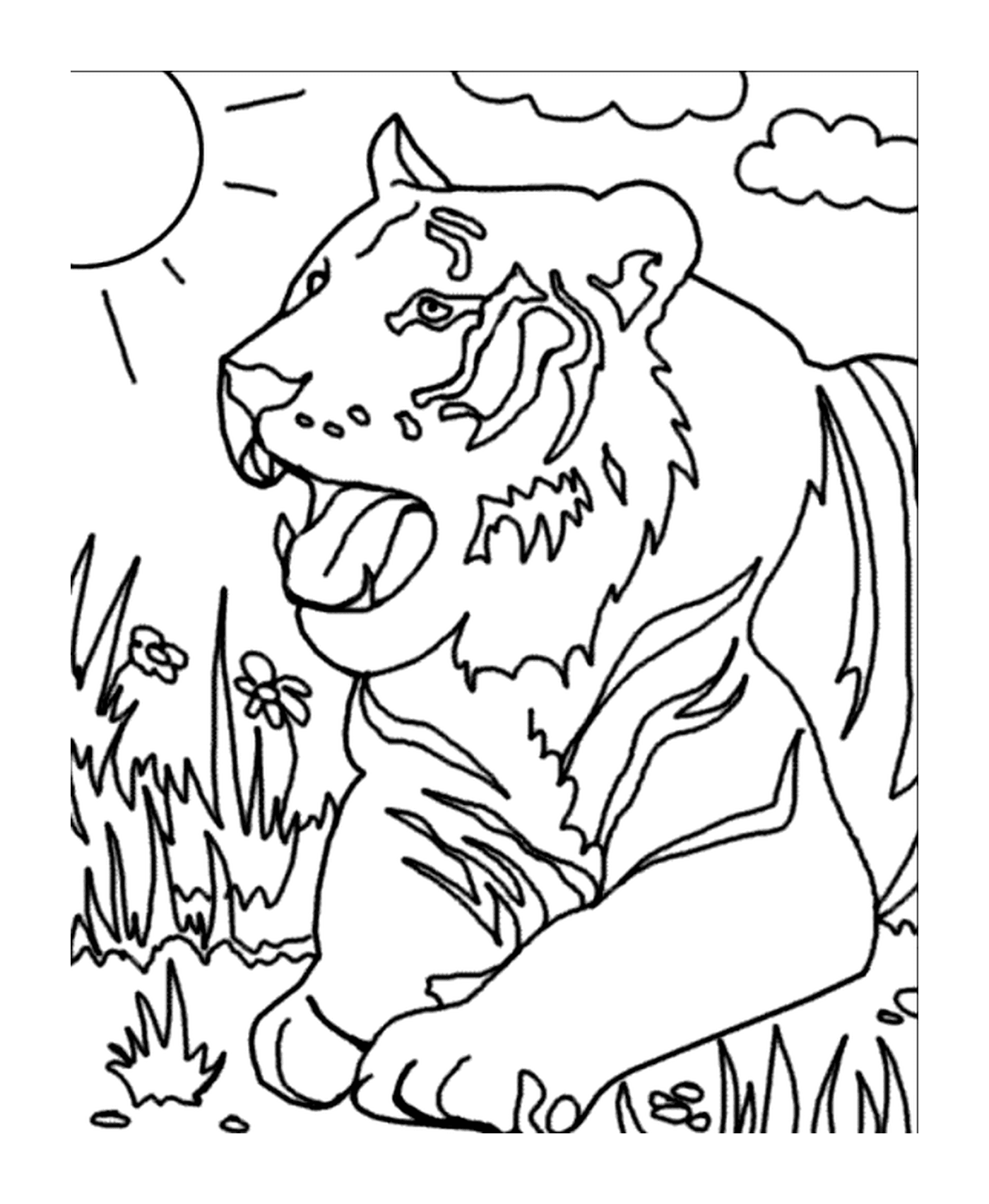  Um tigre na grama 