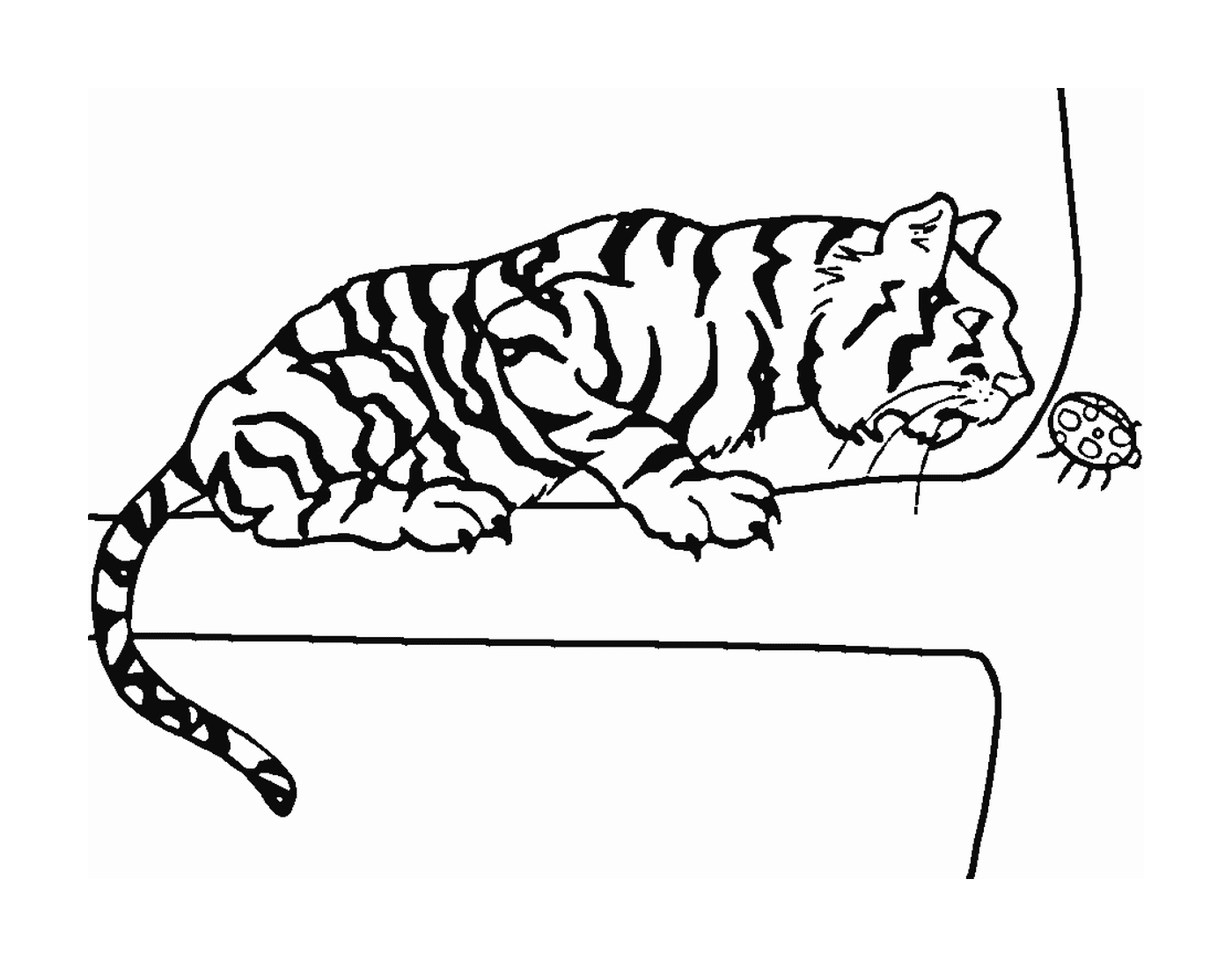  Um tigre em um ramo com uma joaninha 