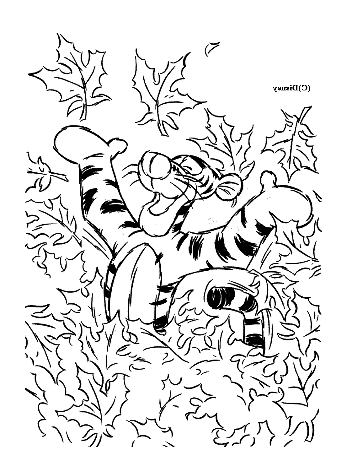  Tigrou tem diversão nas folhas 