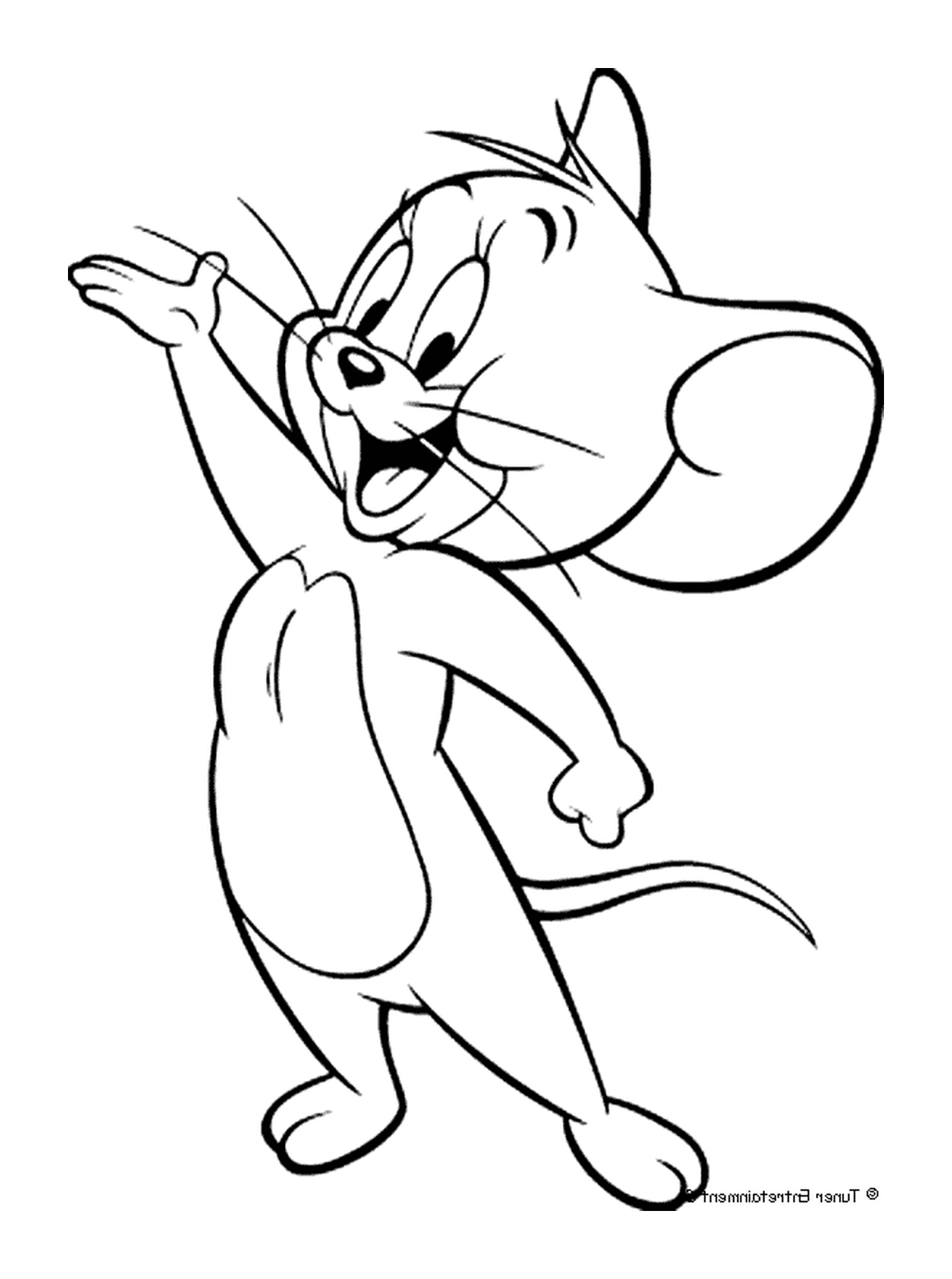  o rato Jerry Jerry o rato 