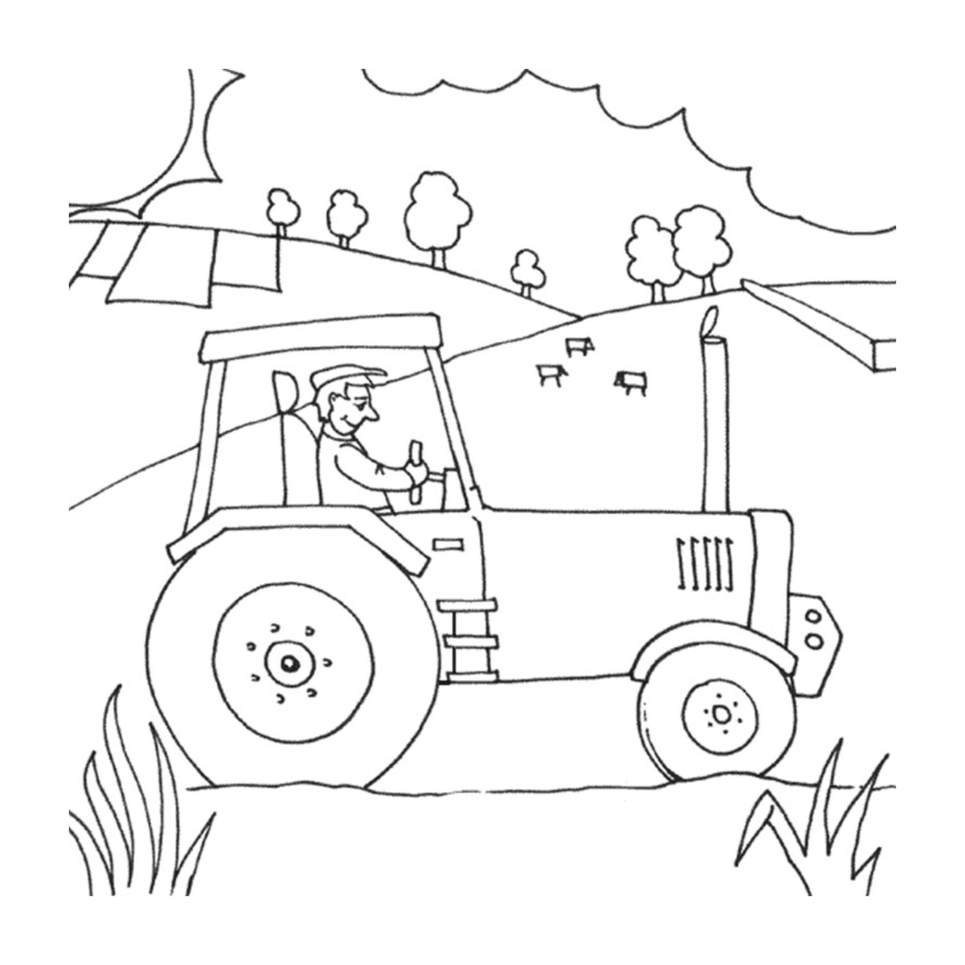 Fazenda com trator, vida rural ativa 