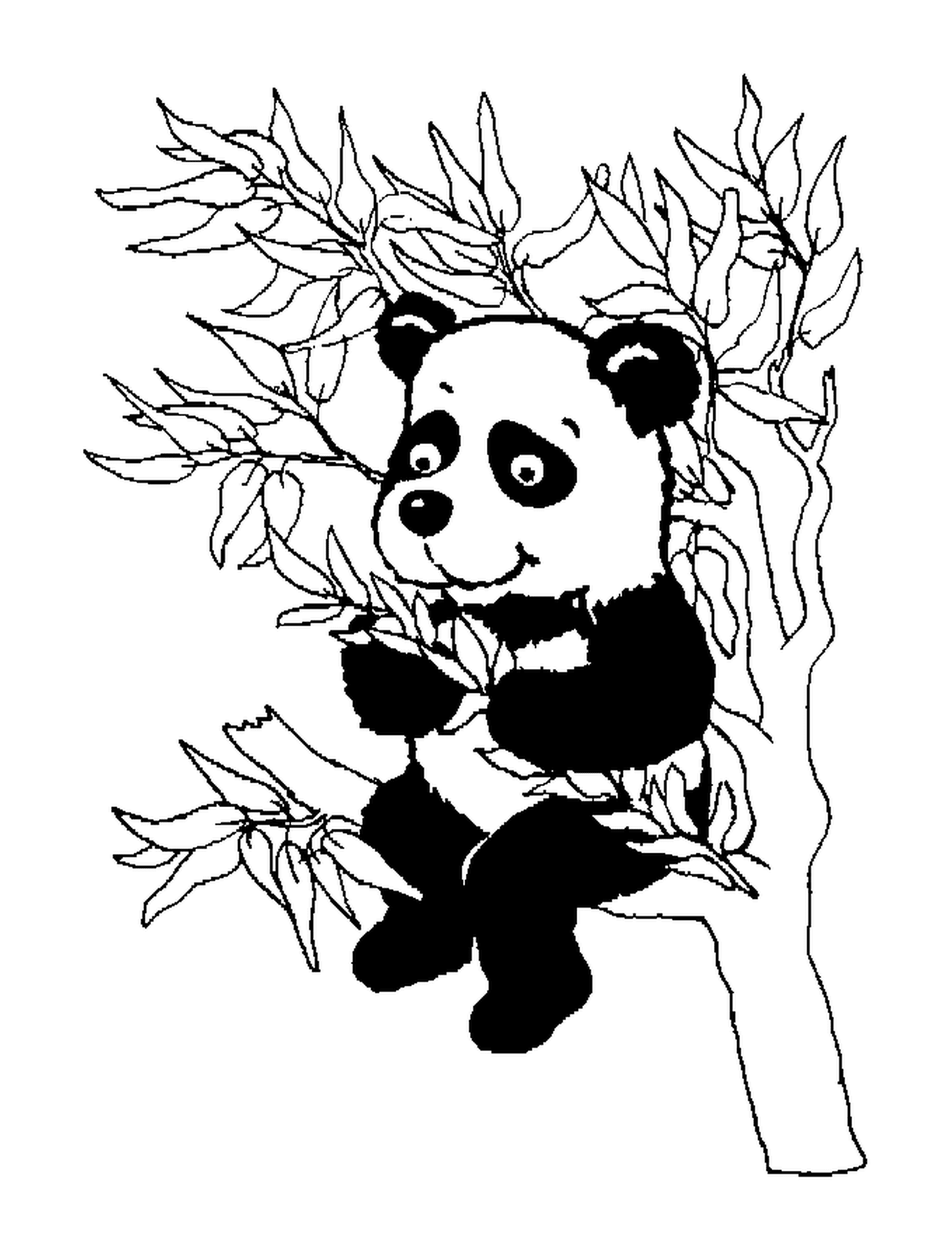  Um panda em uma árvore 