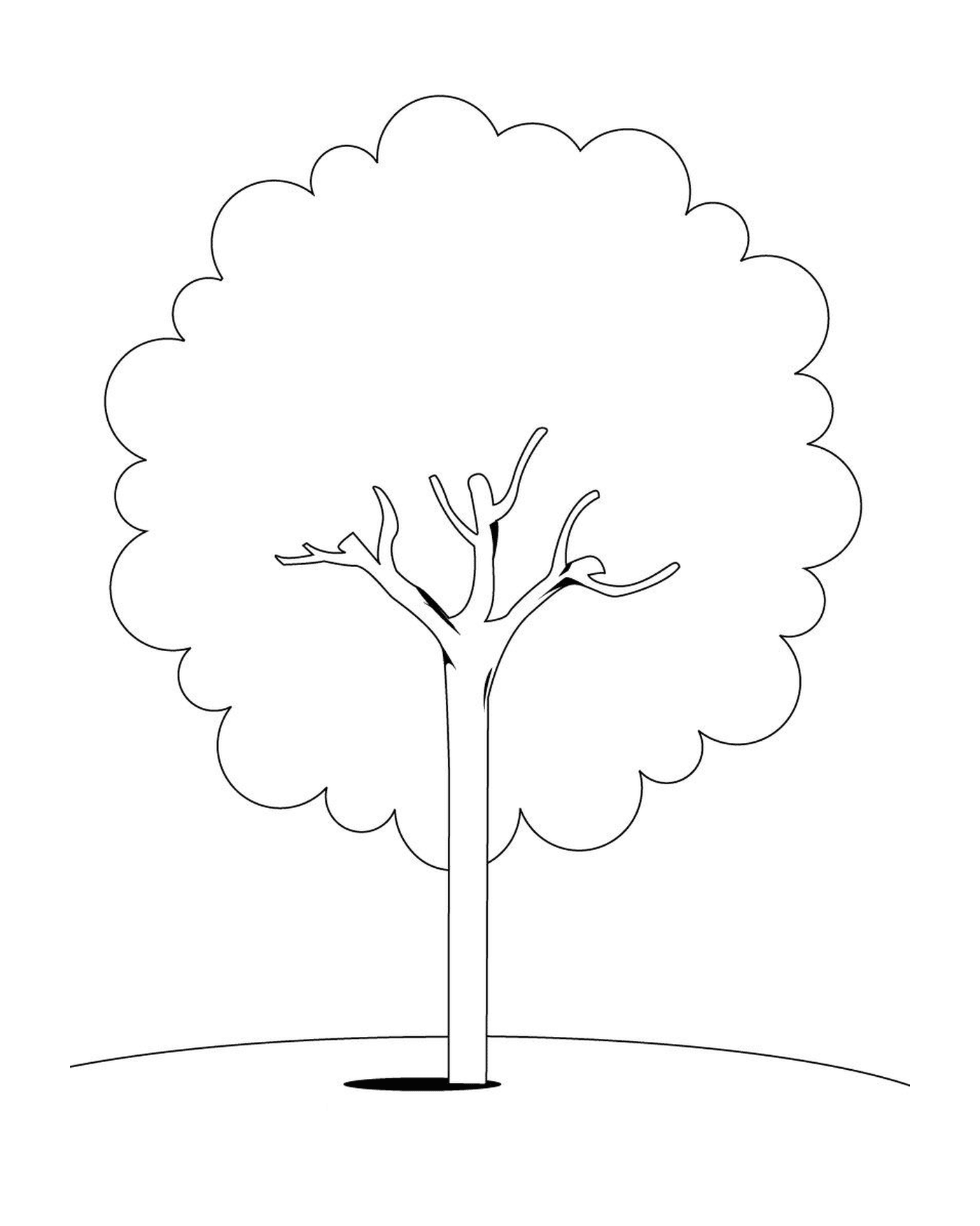 Imagem de uma árvore 