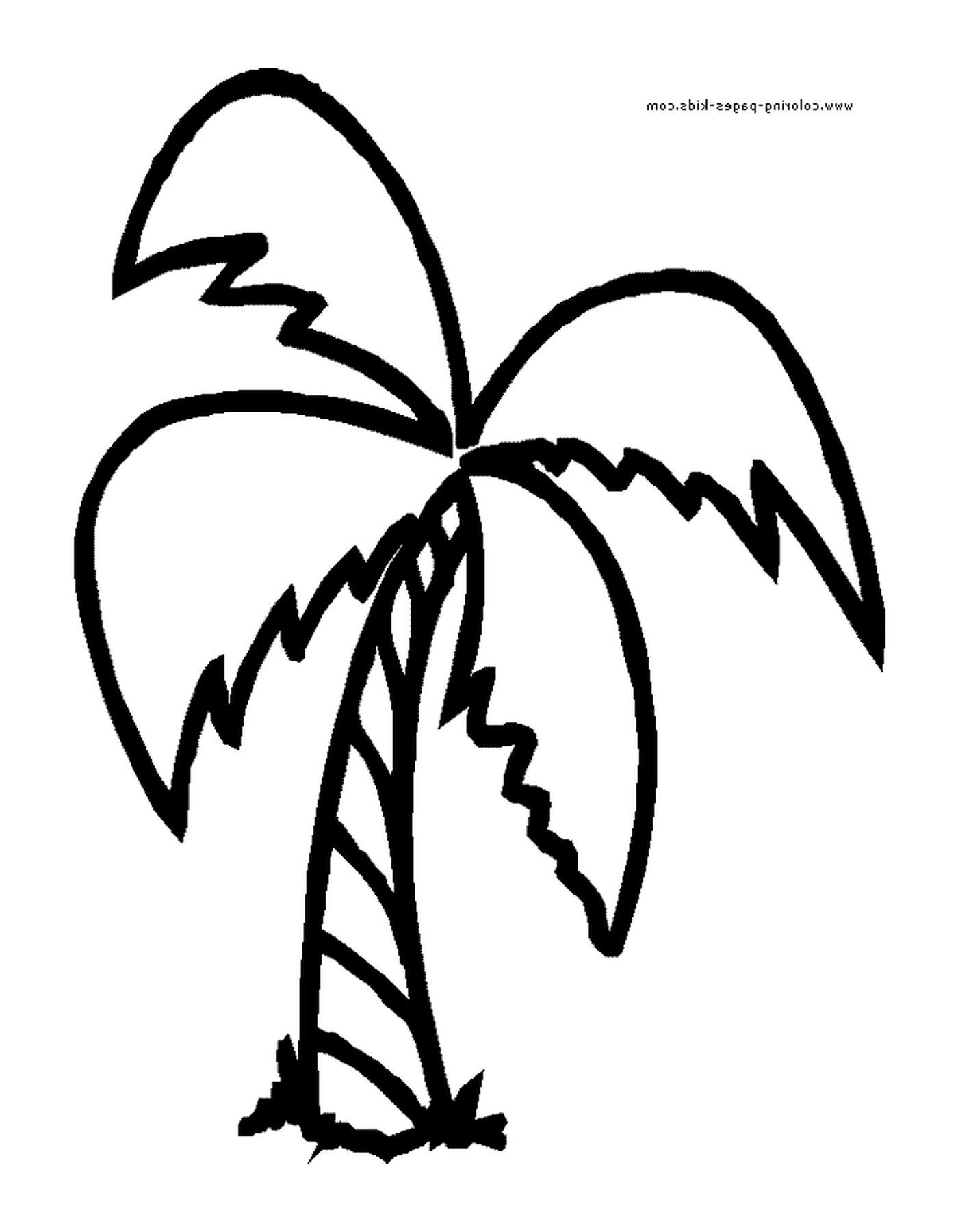  A Palm 