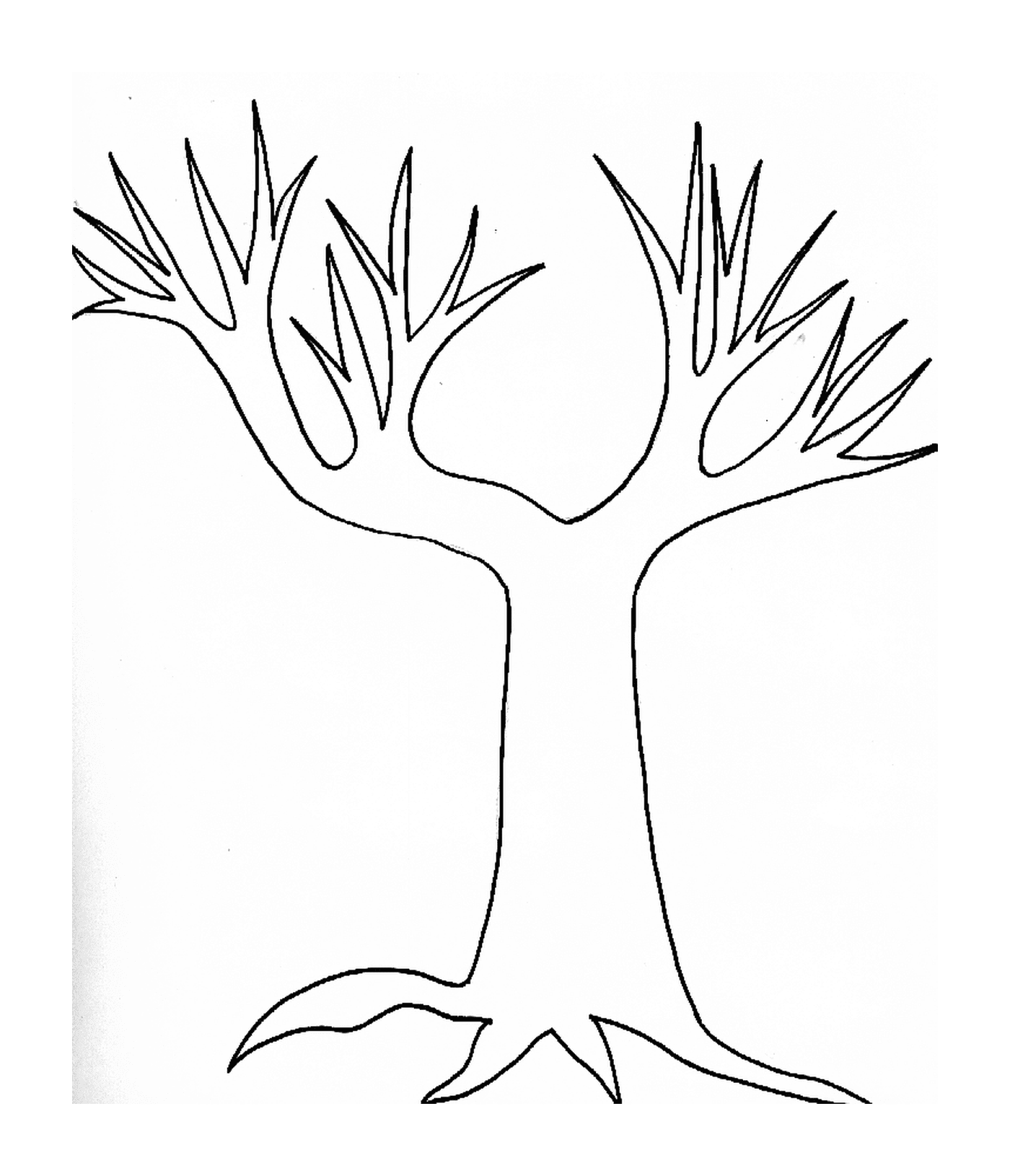  Uma árvore 