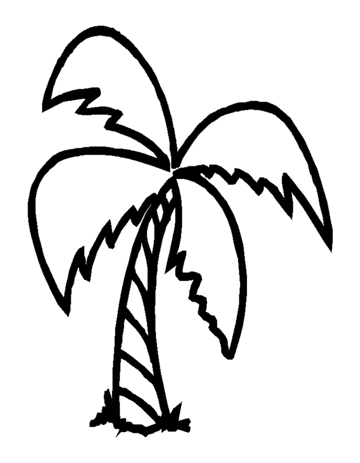  Uma palmeira com 4 ramos 