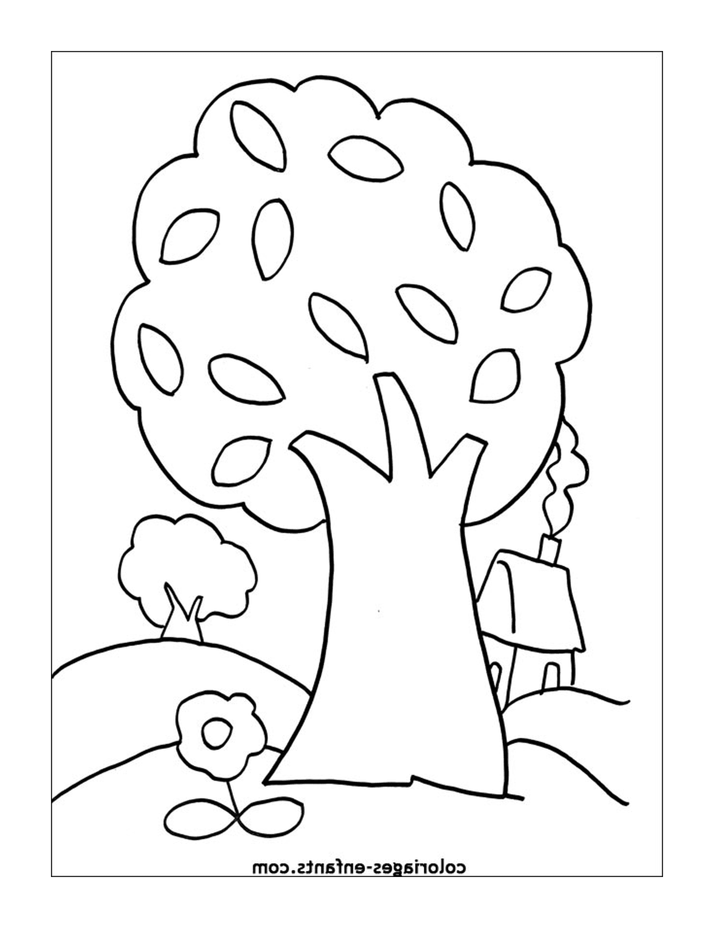  Uma árvore 