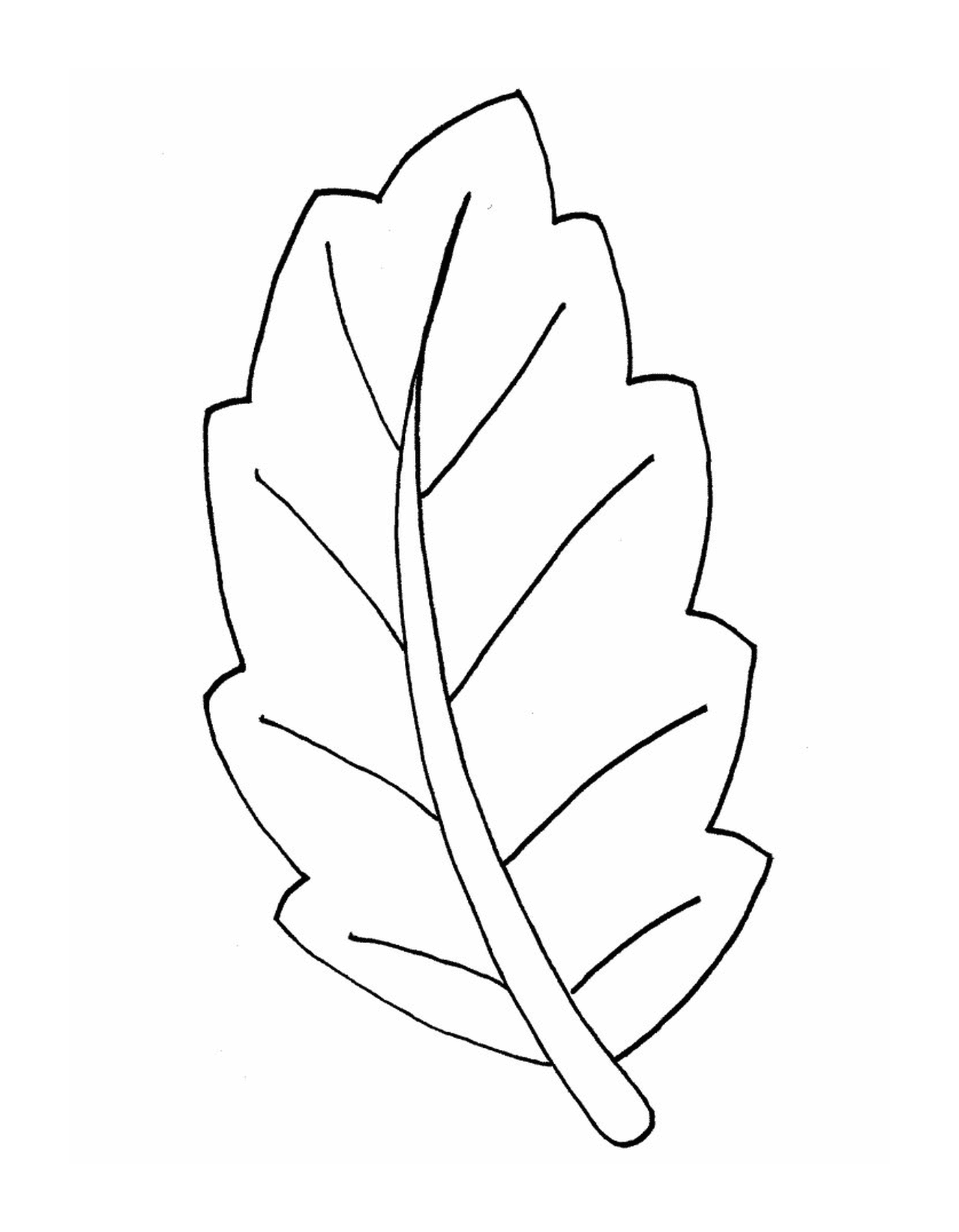  uma folha 