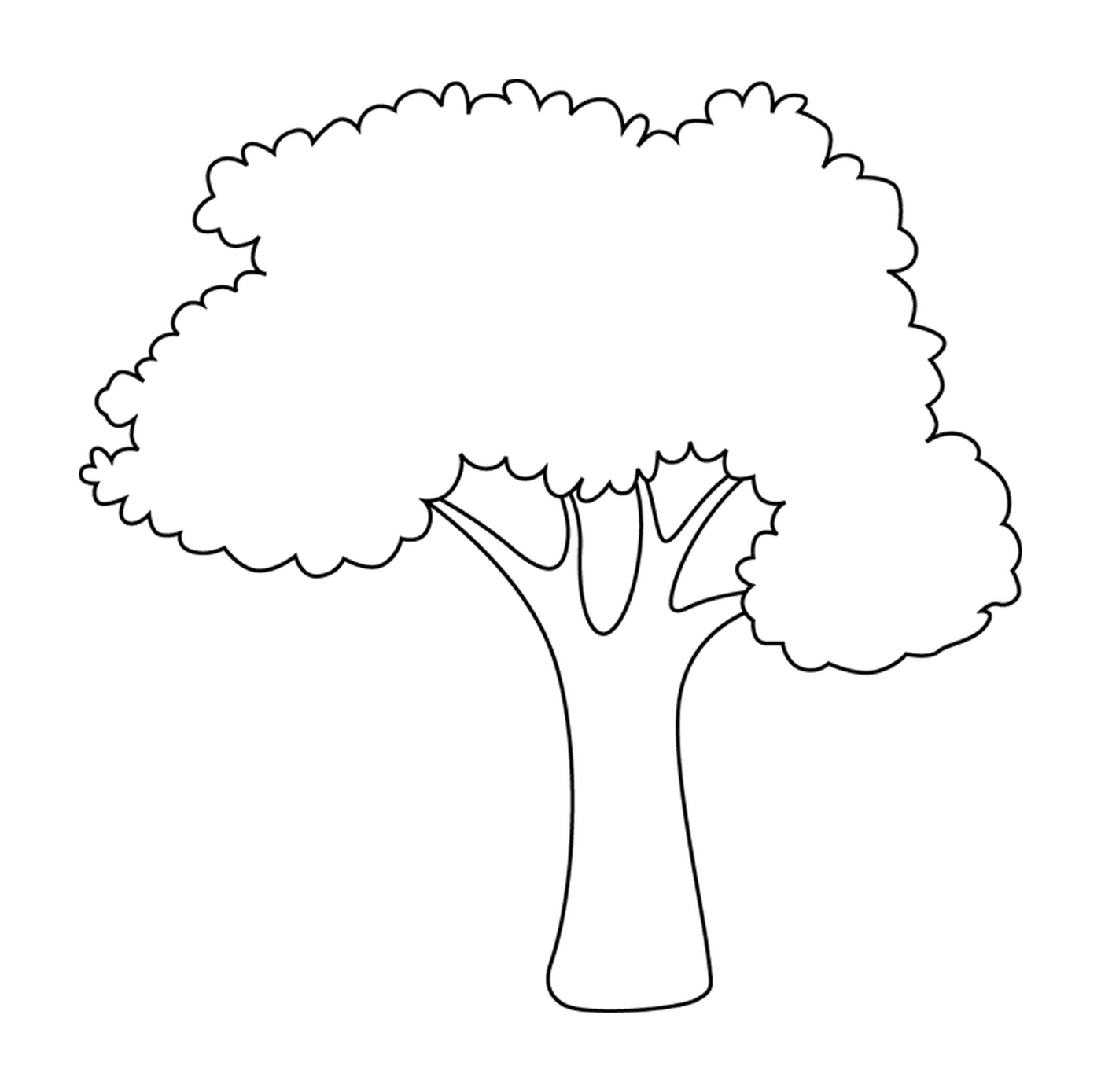  Maçã árvore 