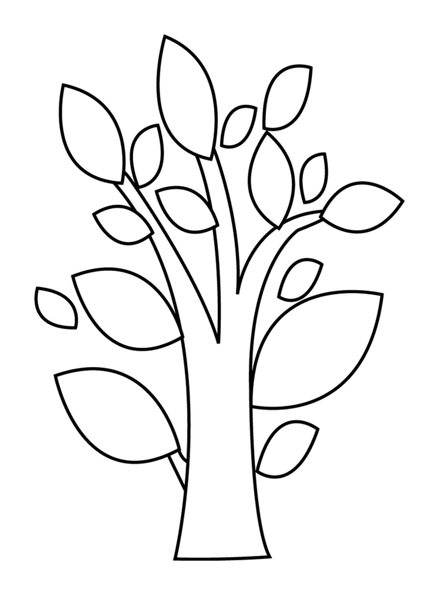  Uma árvore decídua 