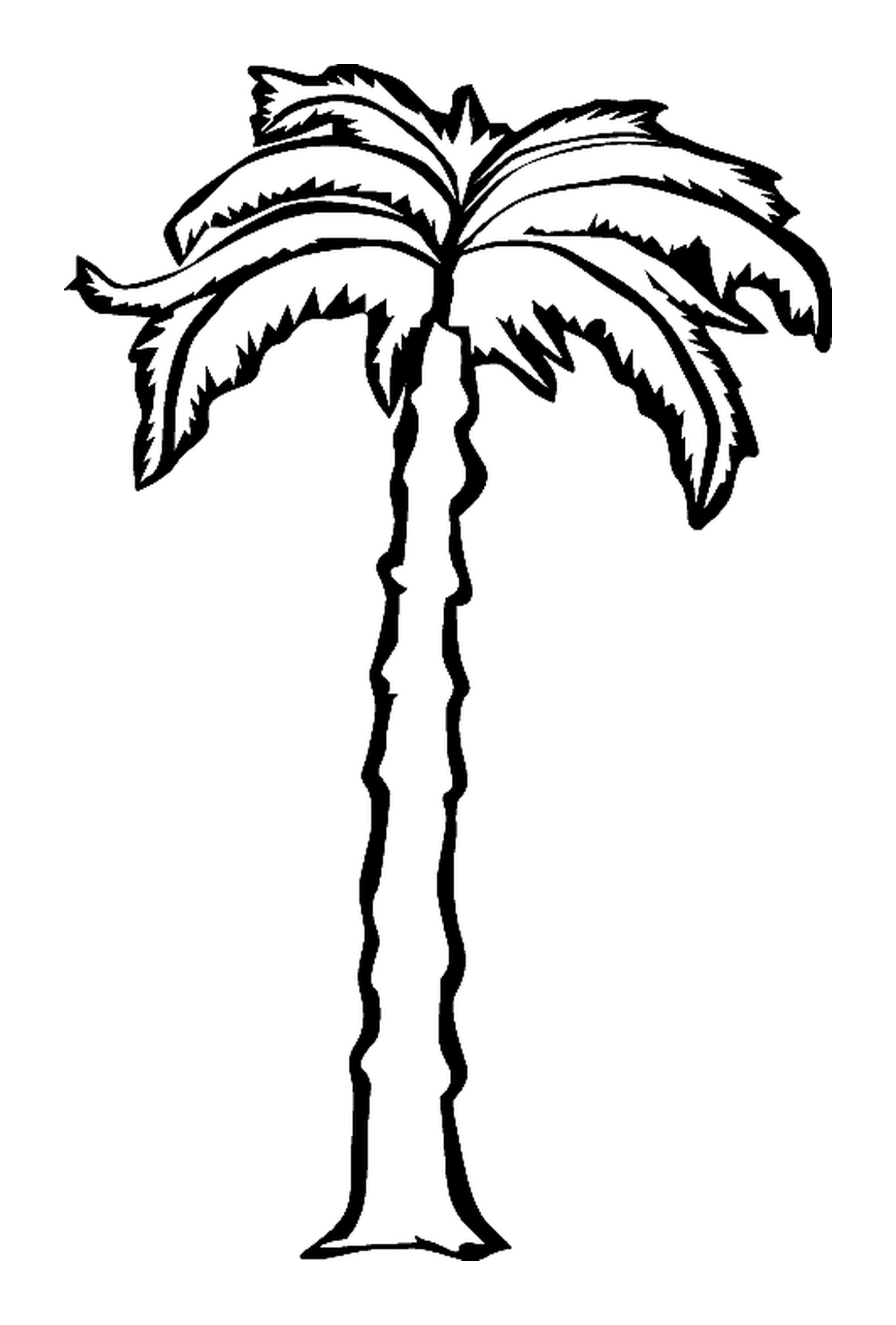  Uma palmeira com um tronco longo 